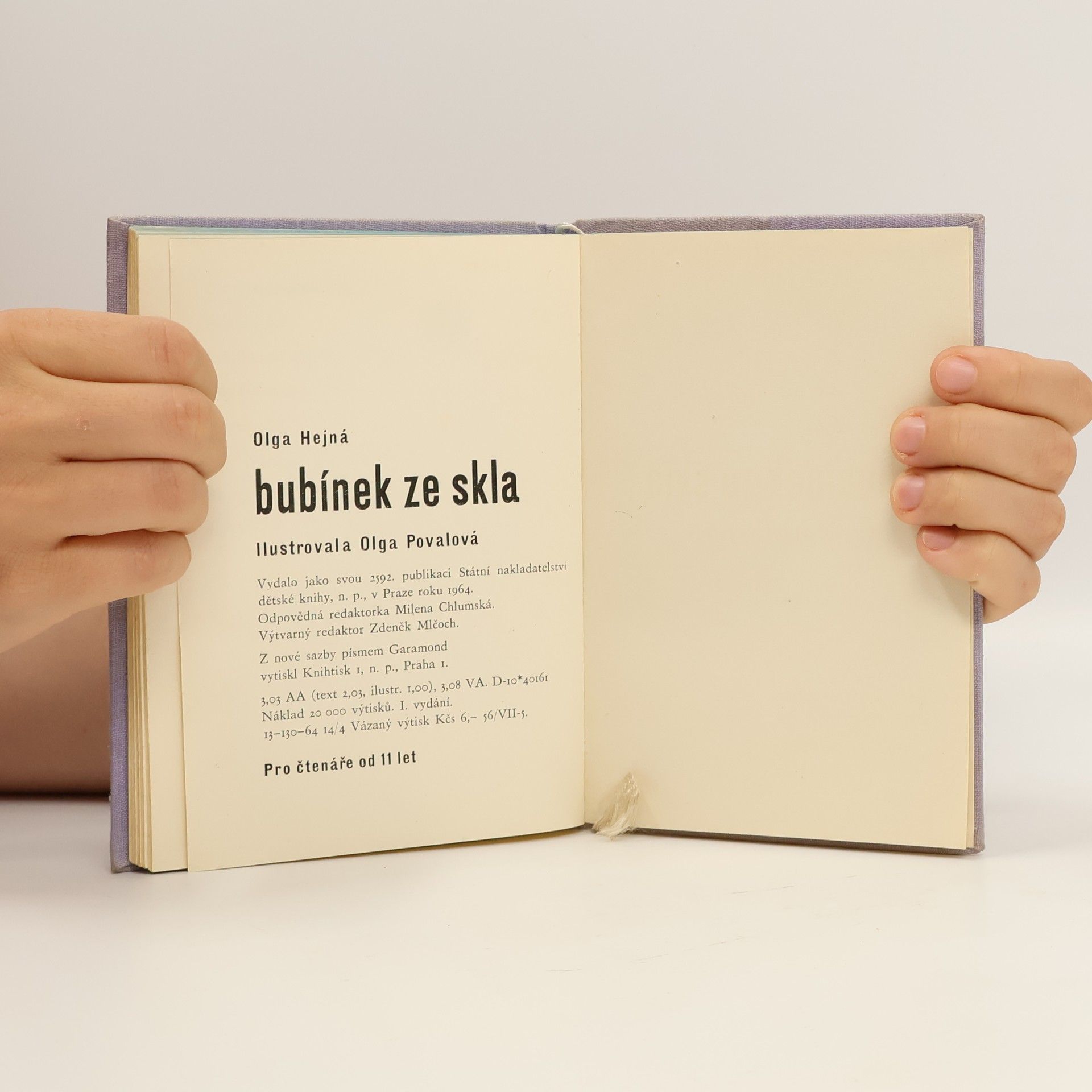 Olga Hejná Bubínek ze skla