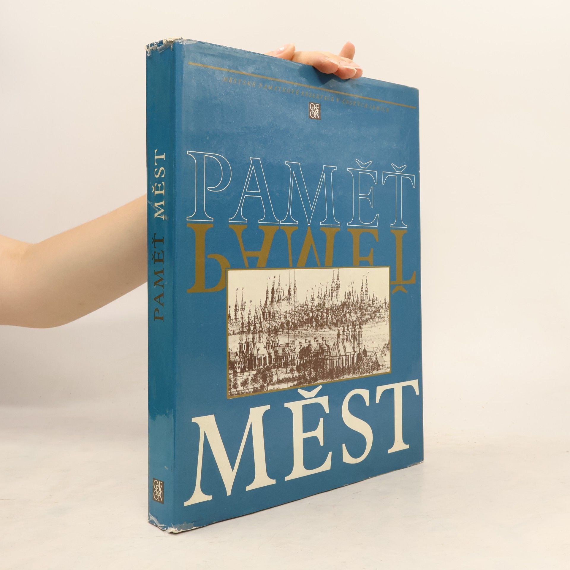 Autores varios Paměť měst