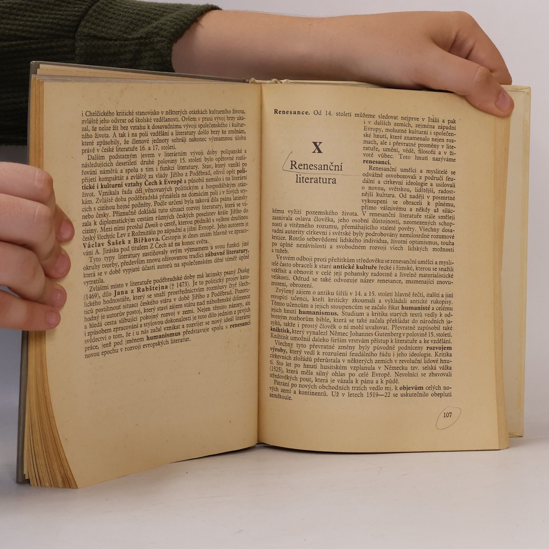 Autorenkollektiv Svět literatury I