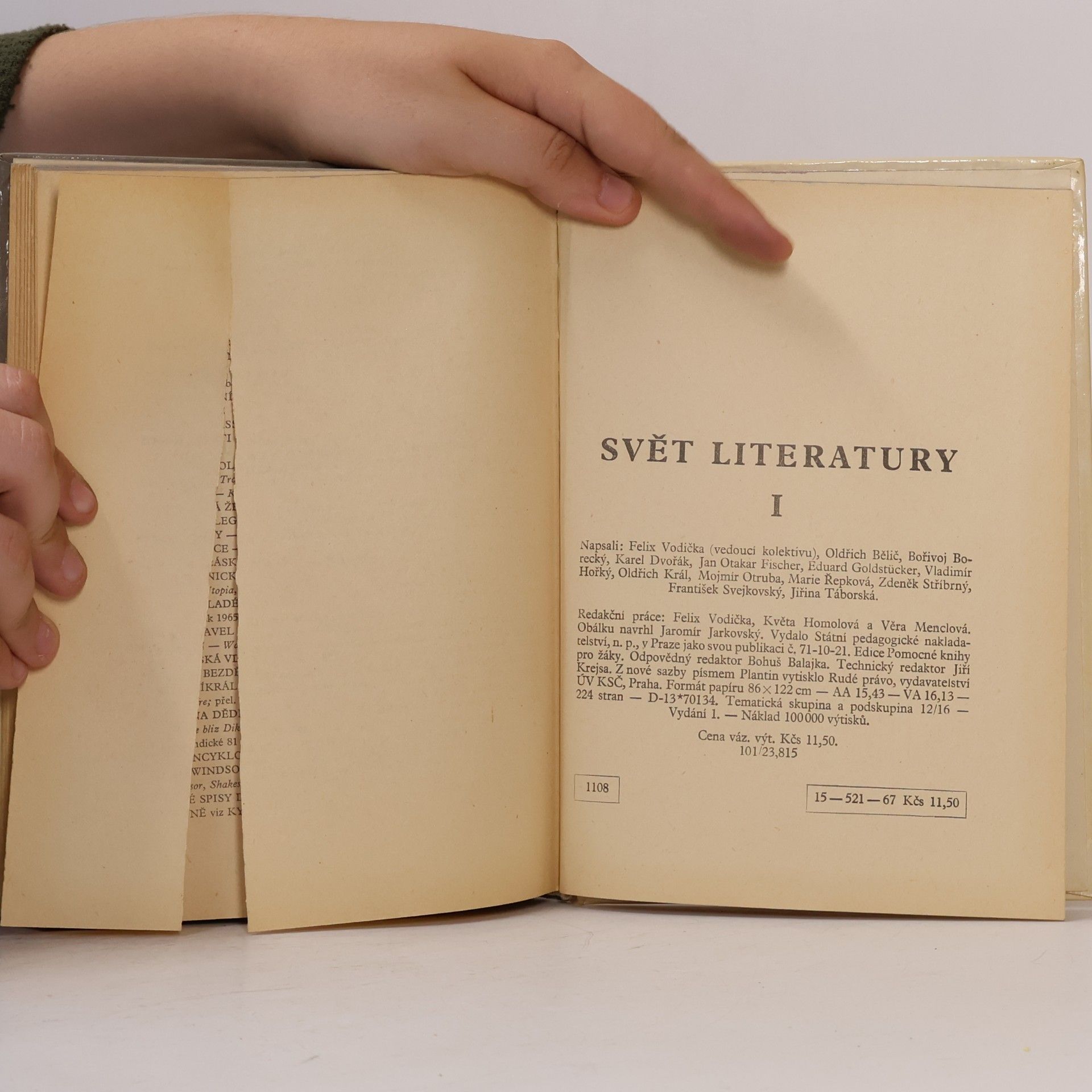 Autorenkollektiv Svět literatury I