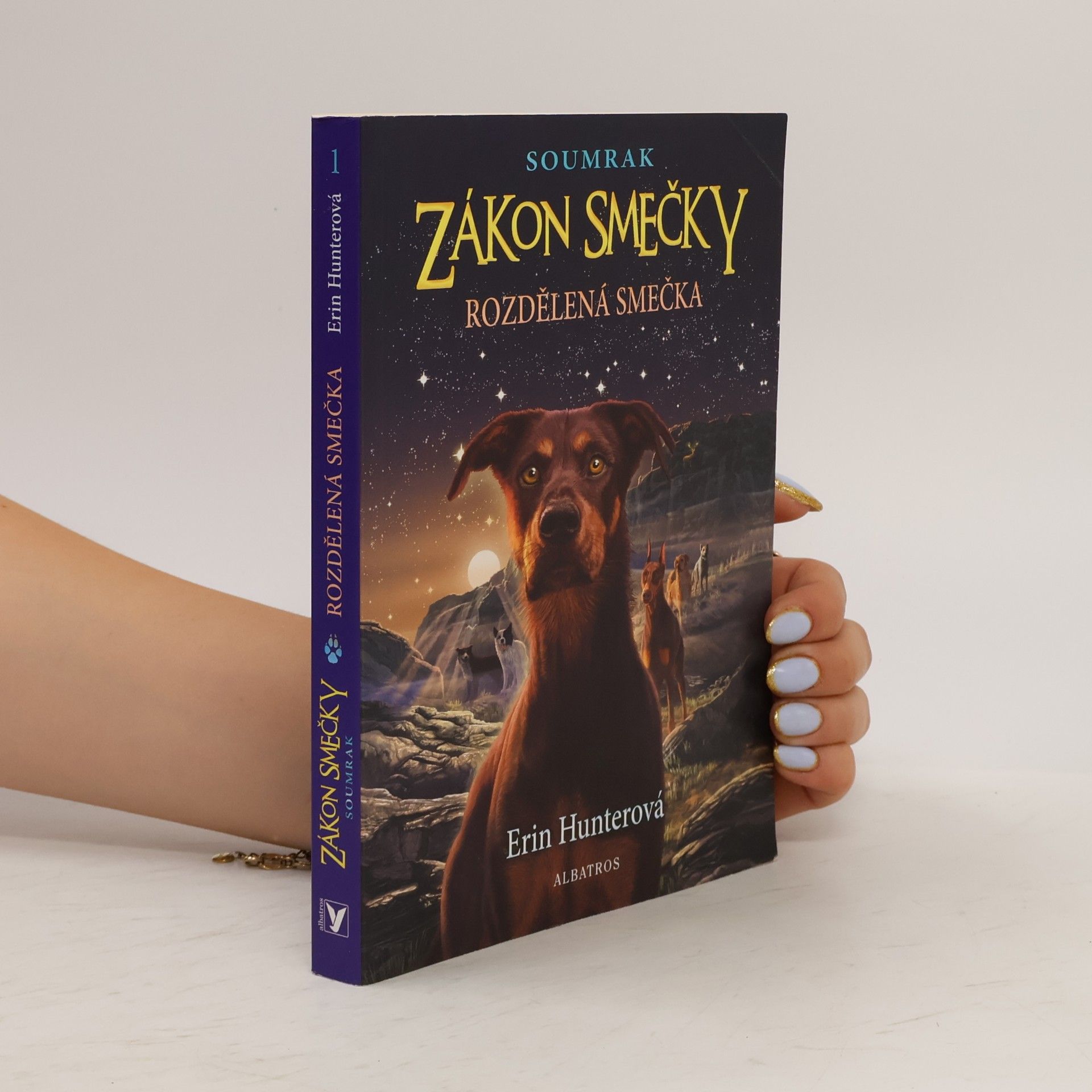 Erin Hunter Rozdělená smečka