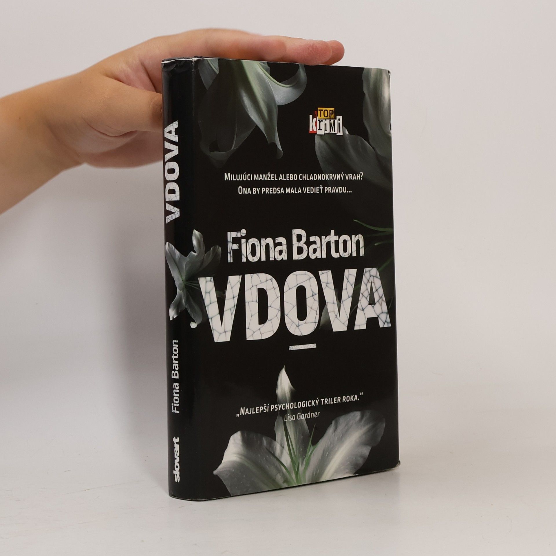 Fiona Barton Vdova