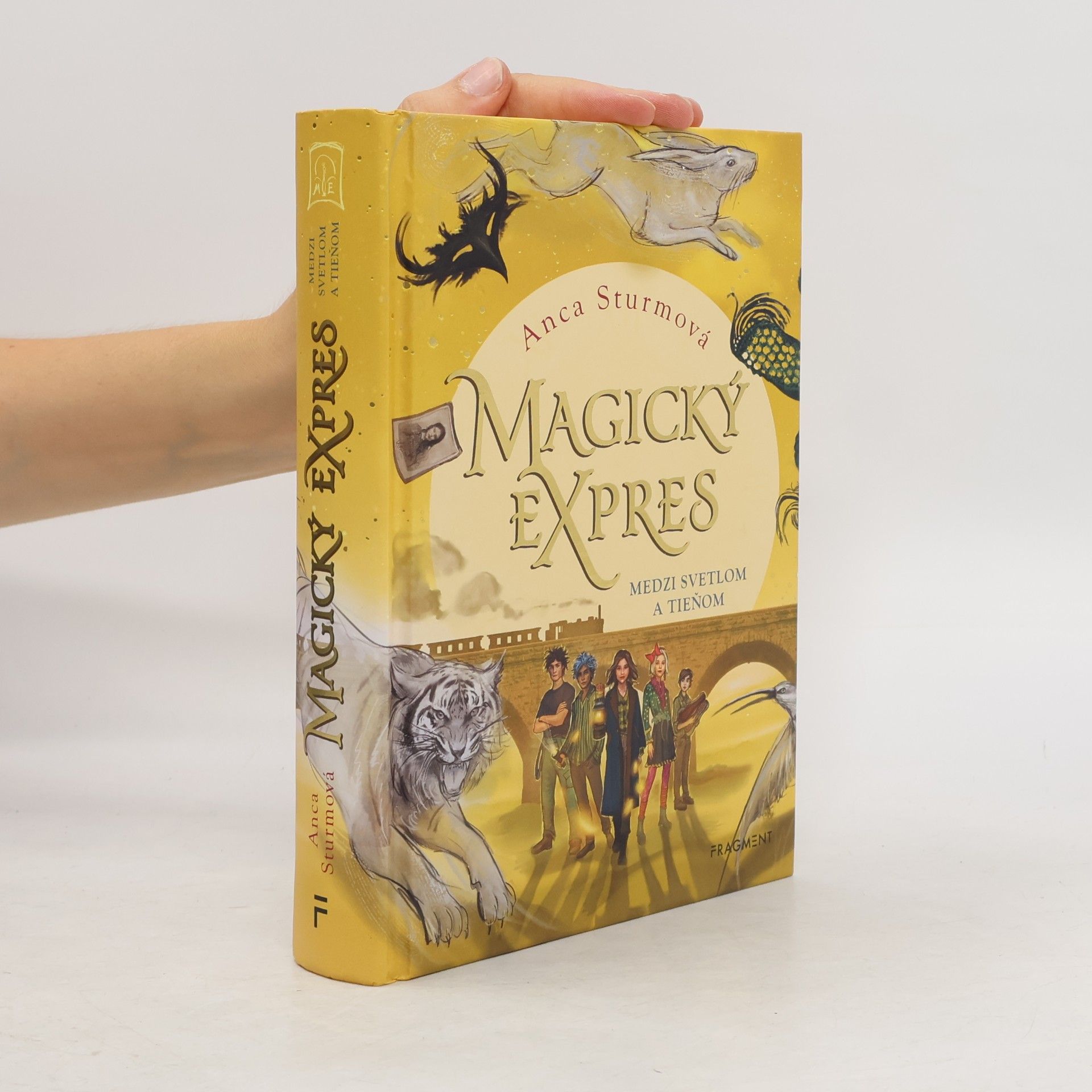 Anca Sturm Magický expres: Medzi svetlom a tieňom
