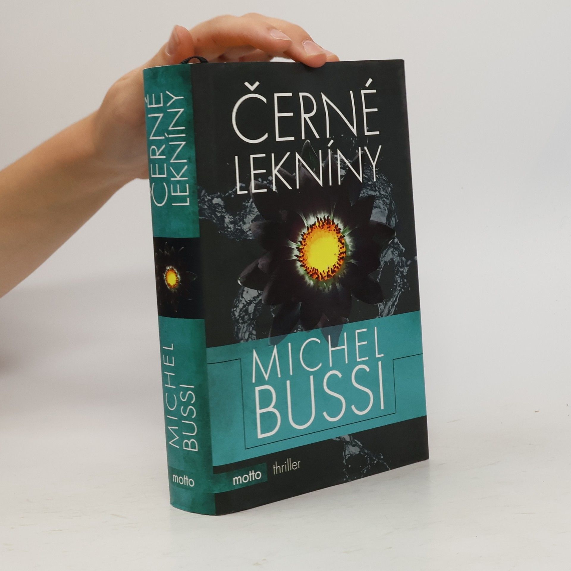 Michel Bussi Černé lekníny