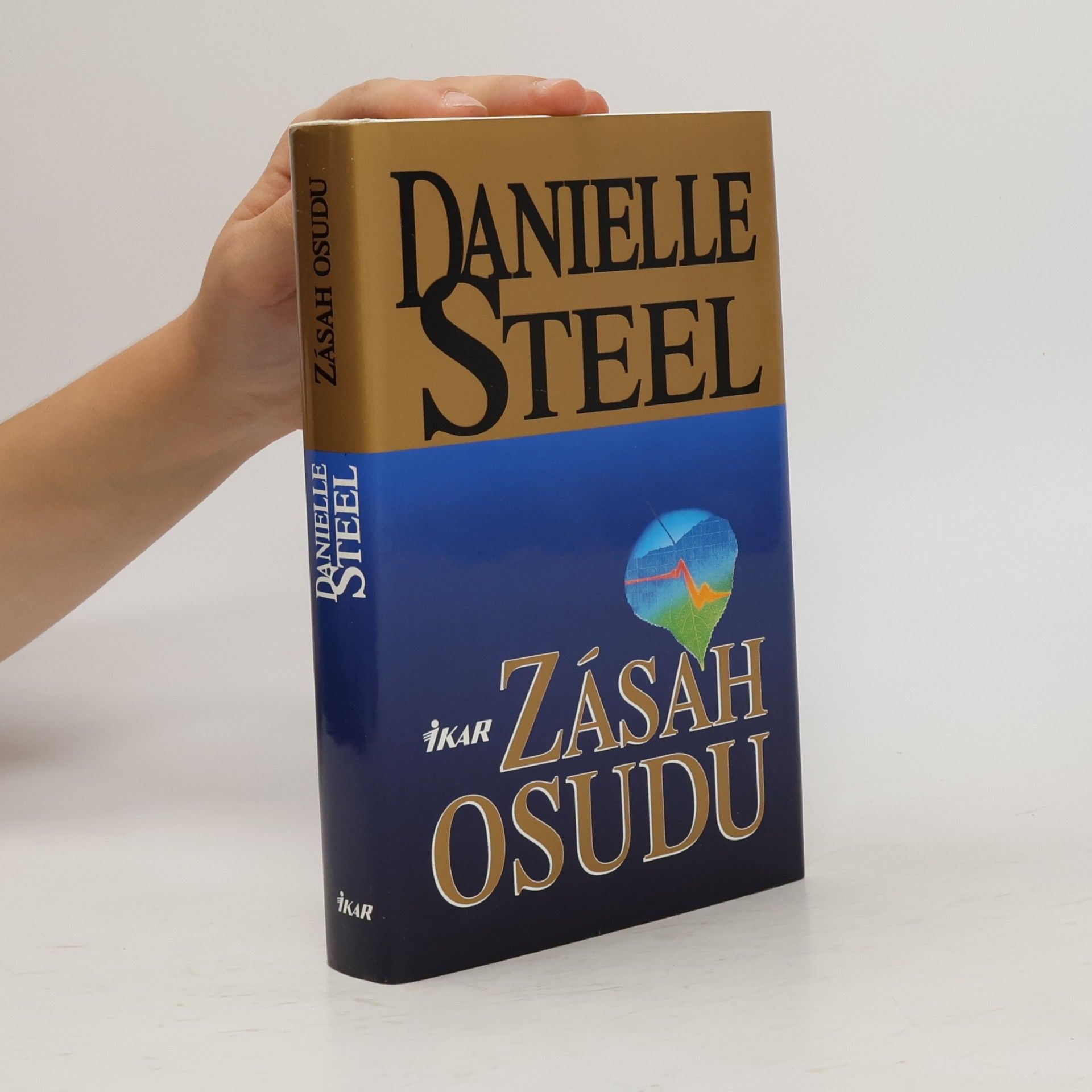 Danielle Steelová Zásah osudu
