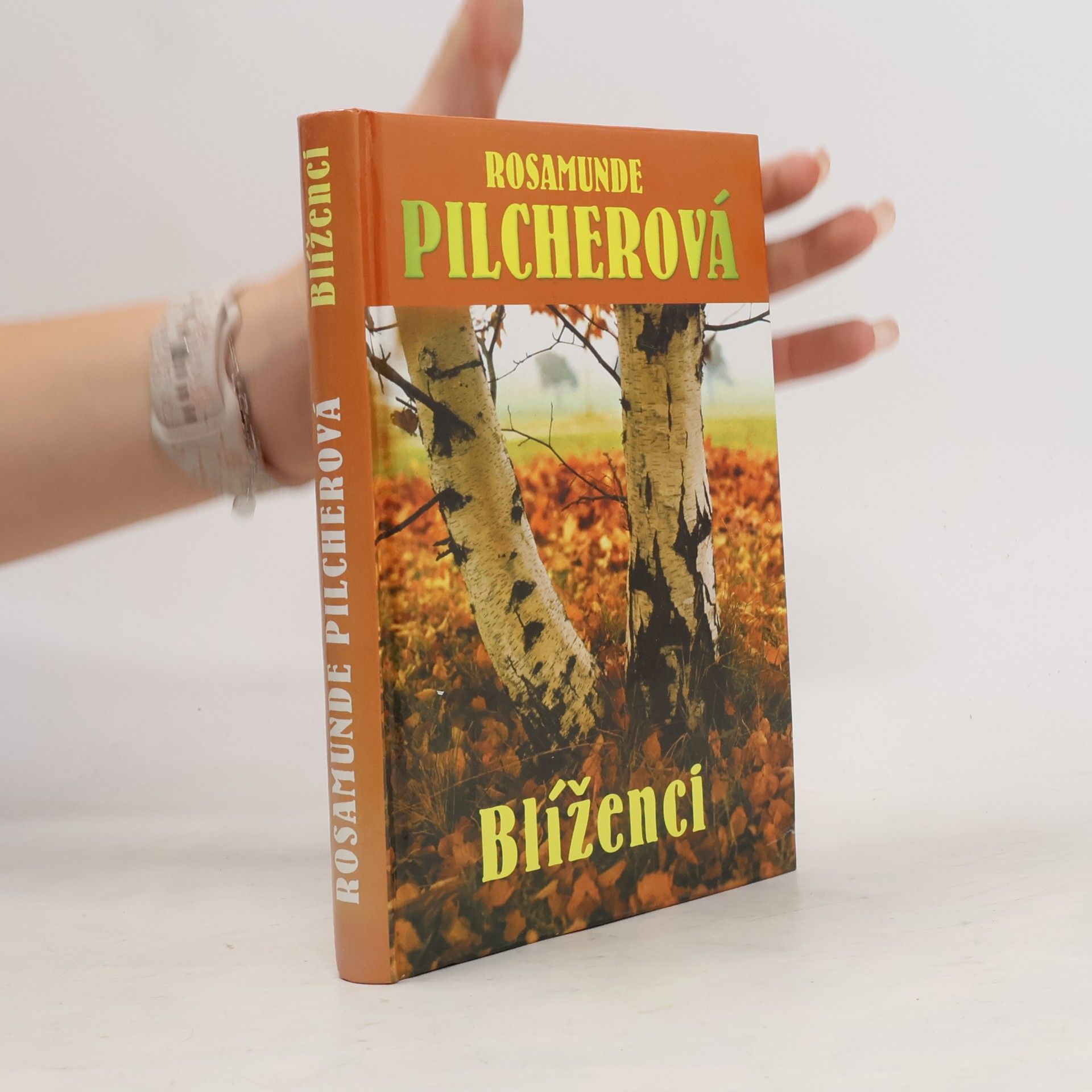 Rosamunde Pilcher Blíženci
