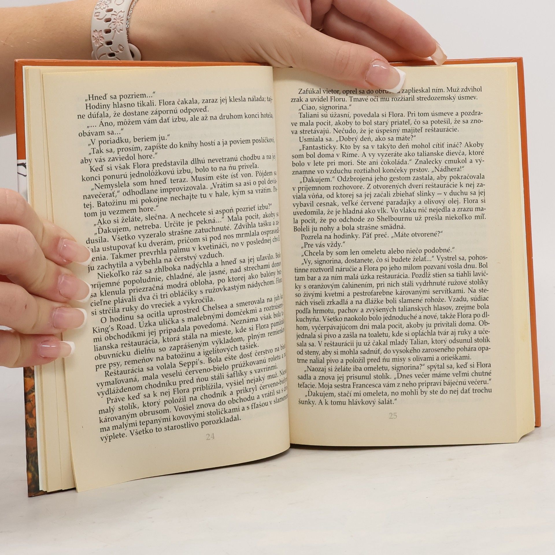 Rosamunde Pilcher Blíženci