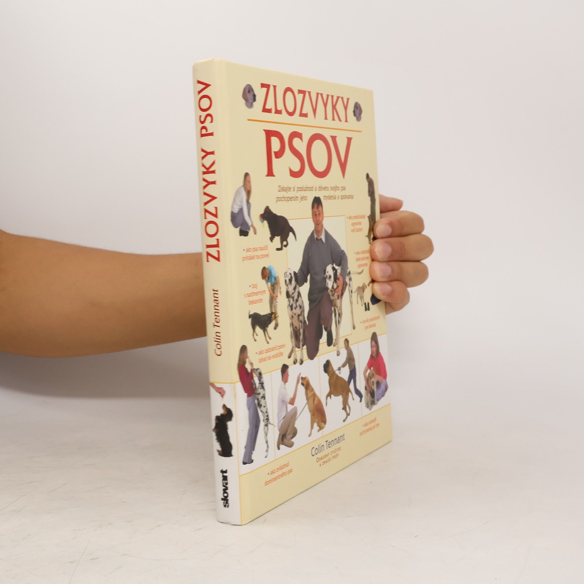 Zlozvyky psov