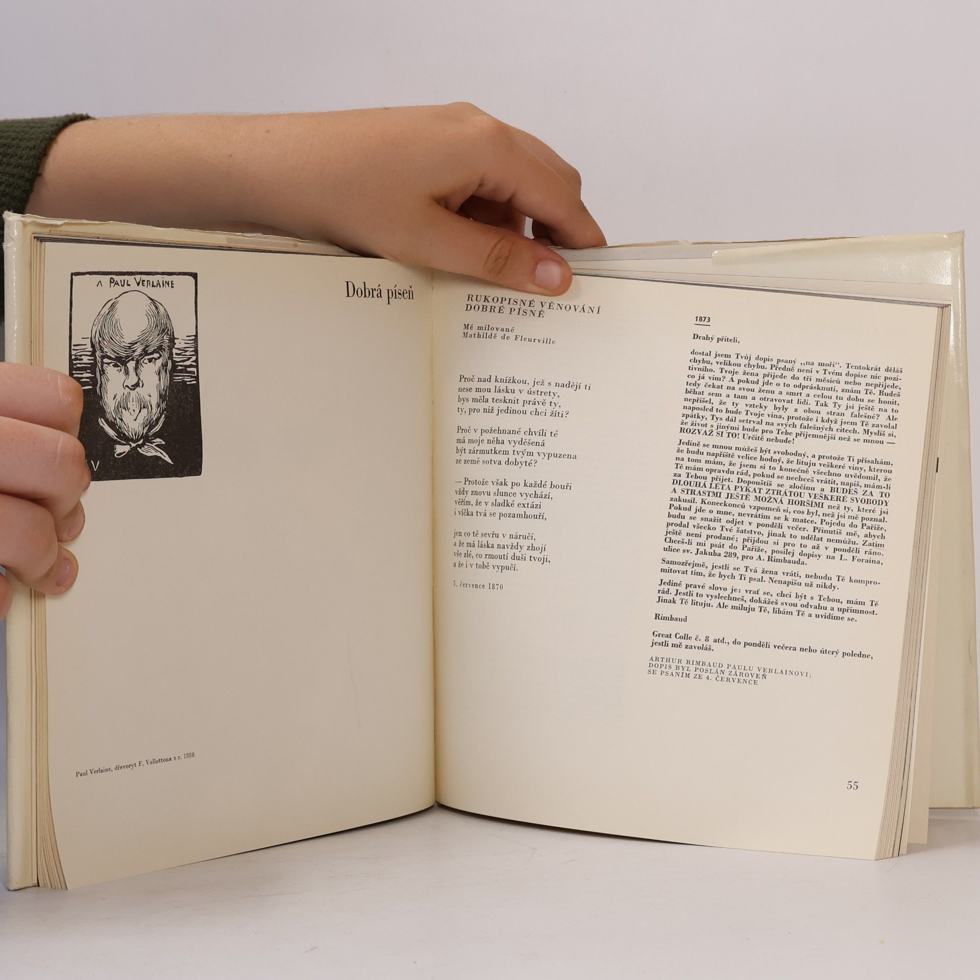 Paul Verlaine Slova na strunách