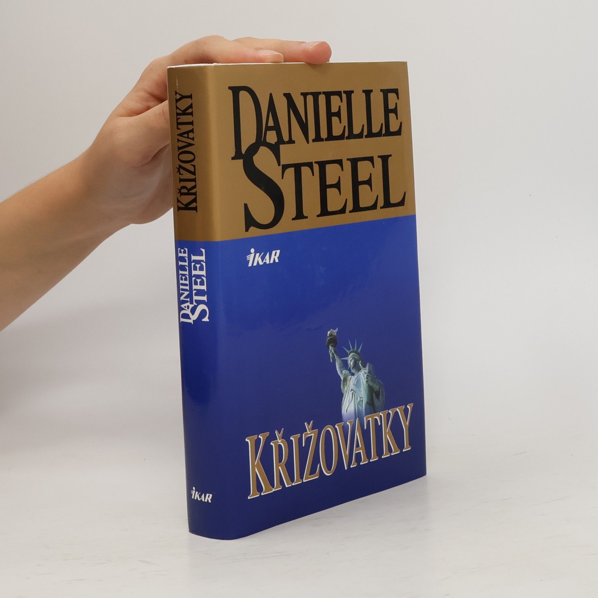Danielle Steel Křižovatky