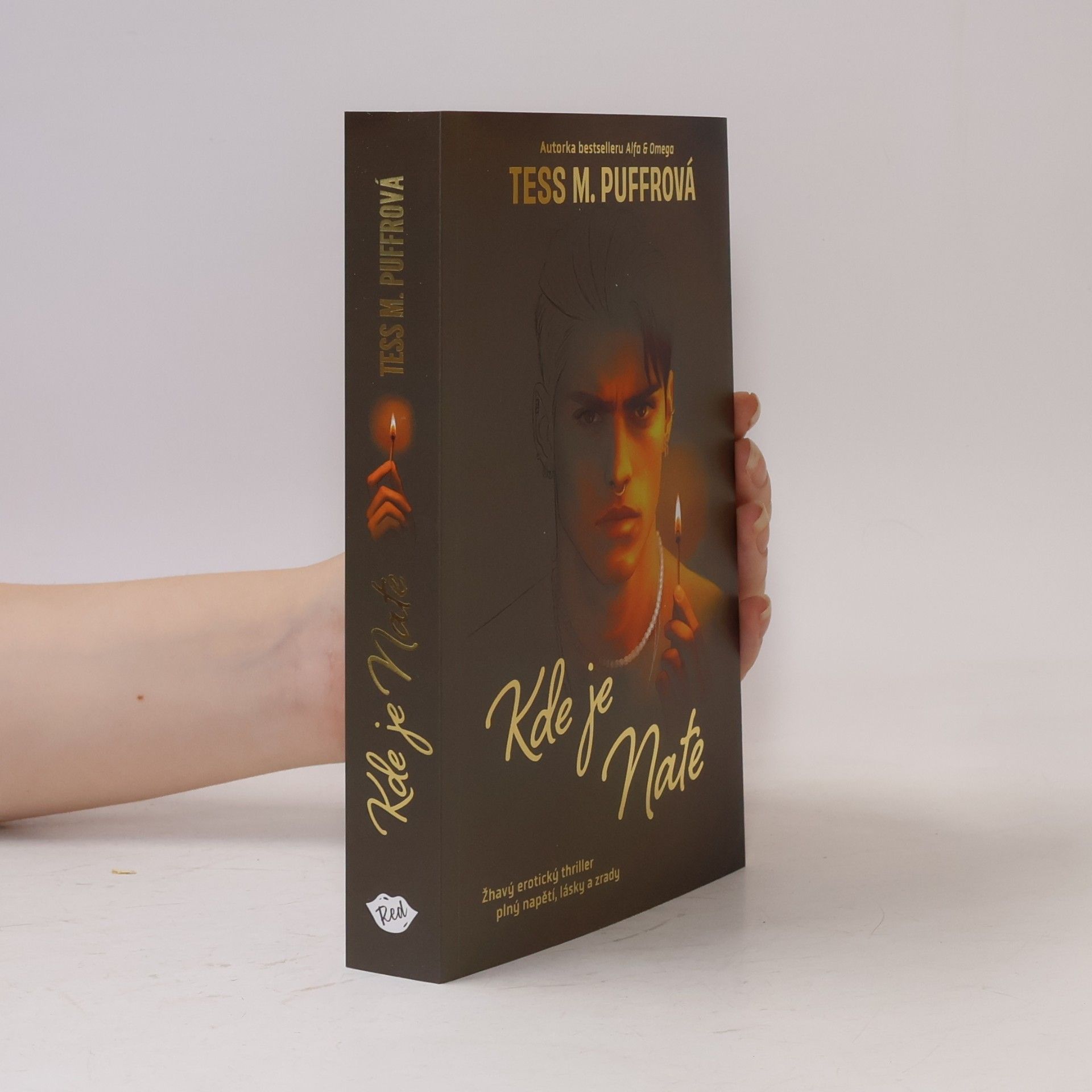 Tess M. Puffrová Kde je Nate