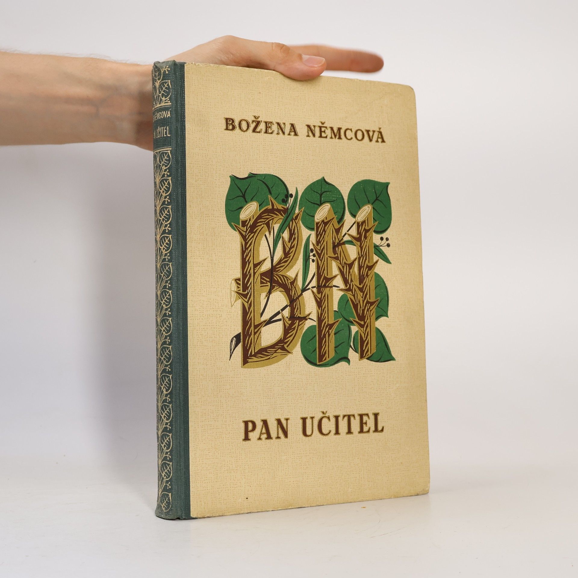 Božena Němcová Pan učitel a jiné povídky