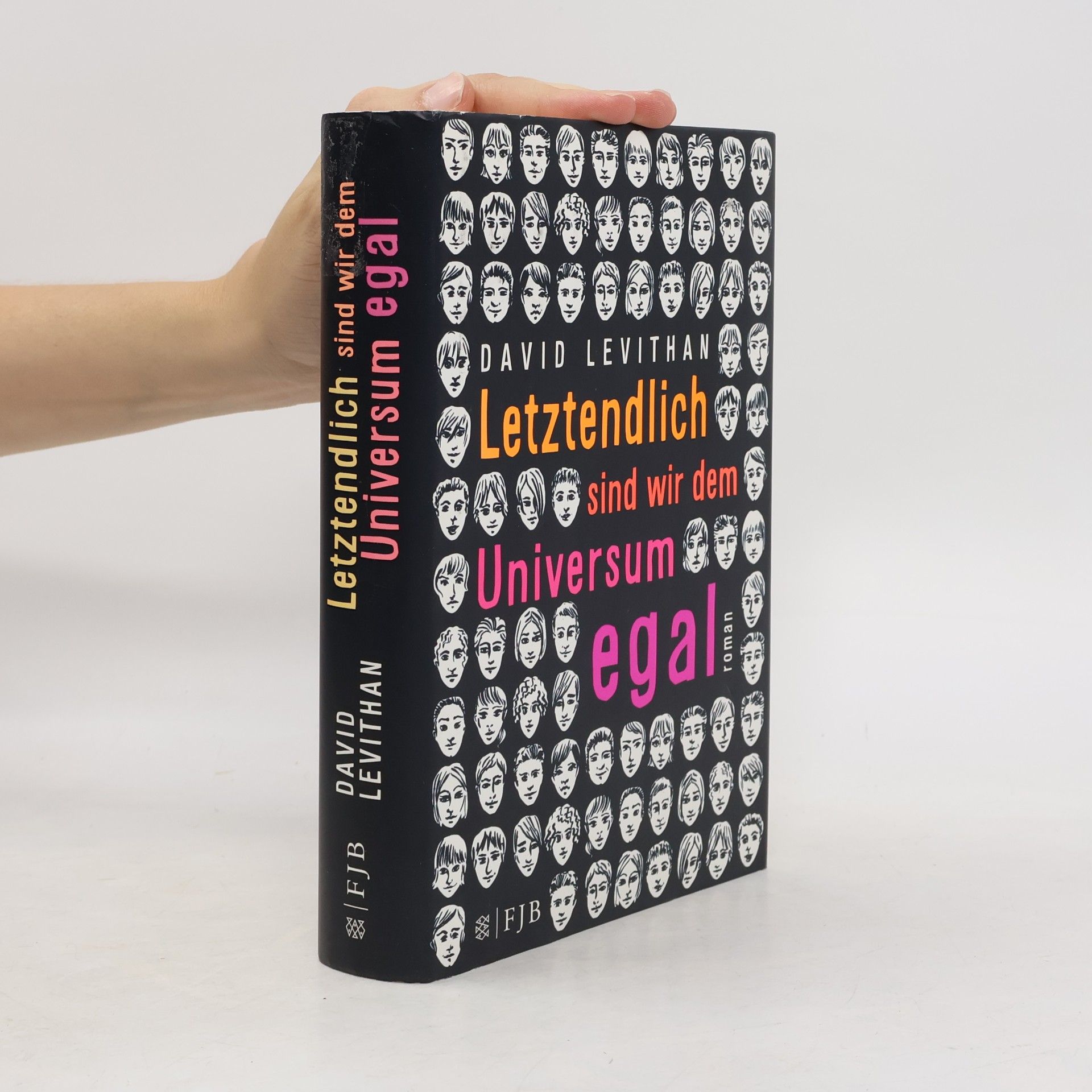 David Levithan Letztendlich sind wir dem Universum egal