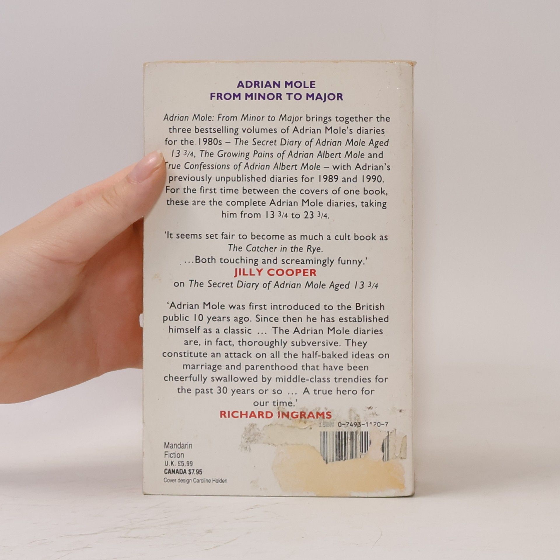 Sue Townsend From minor to major