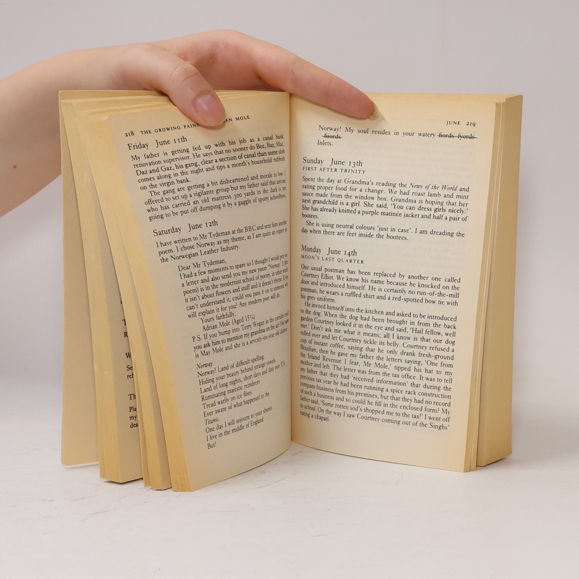 Sue Townsend From minor to major