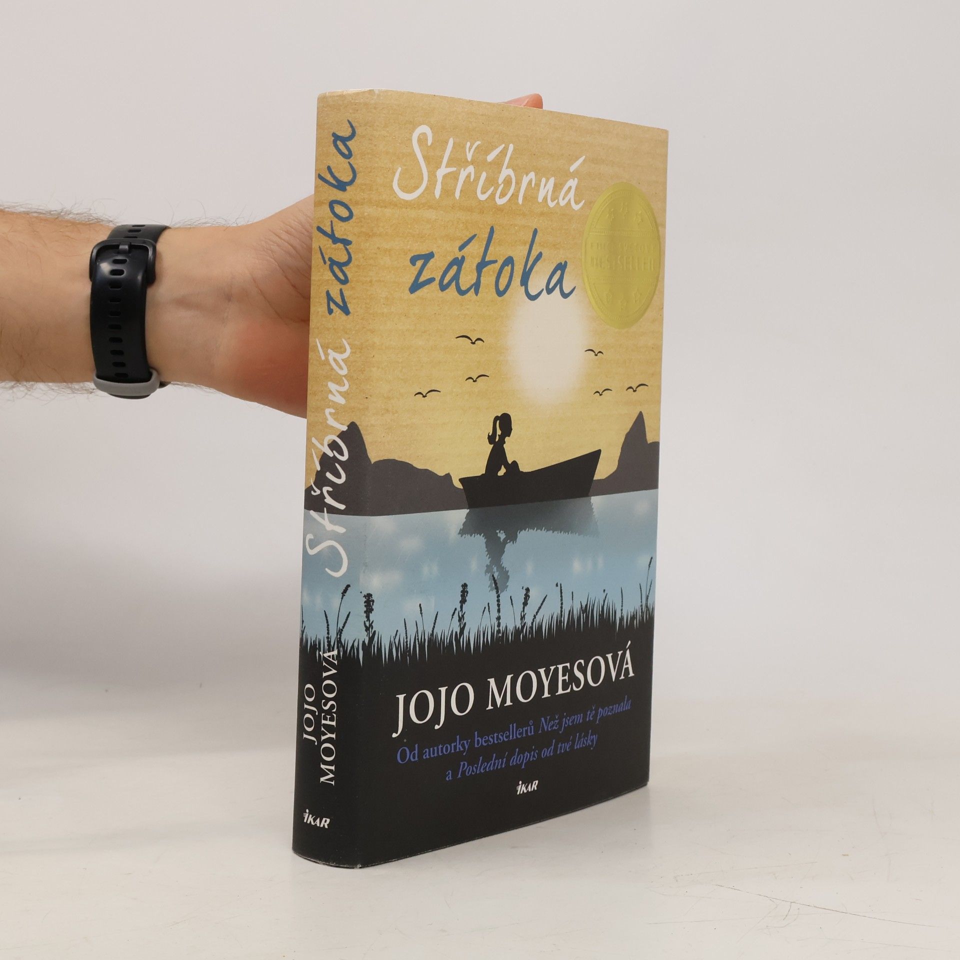 Jojo Moyes Stříbrná zátoka