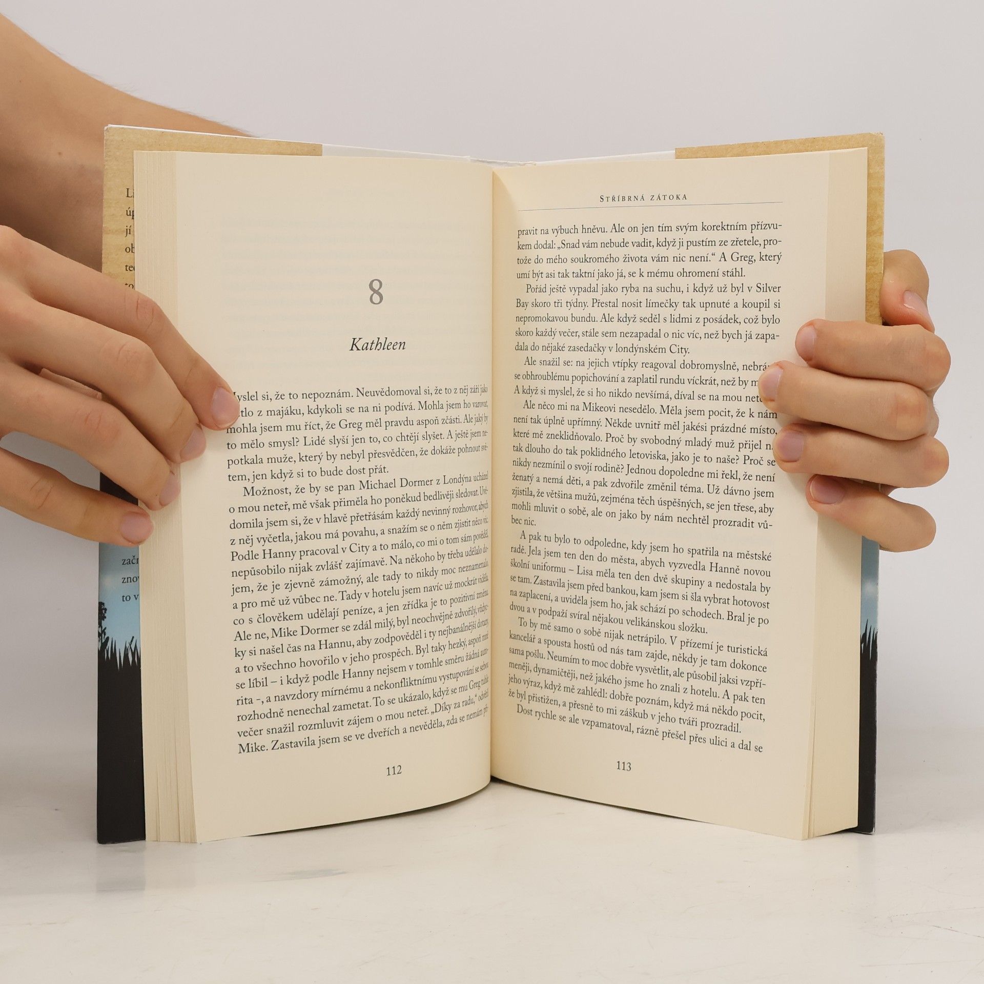 Jojo Moyes Stříbrná zátoka
