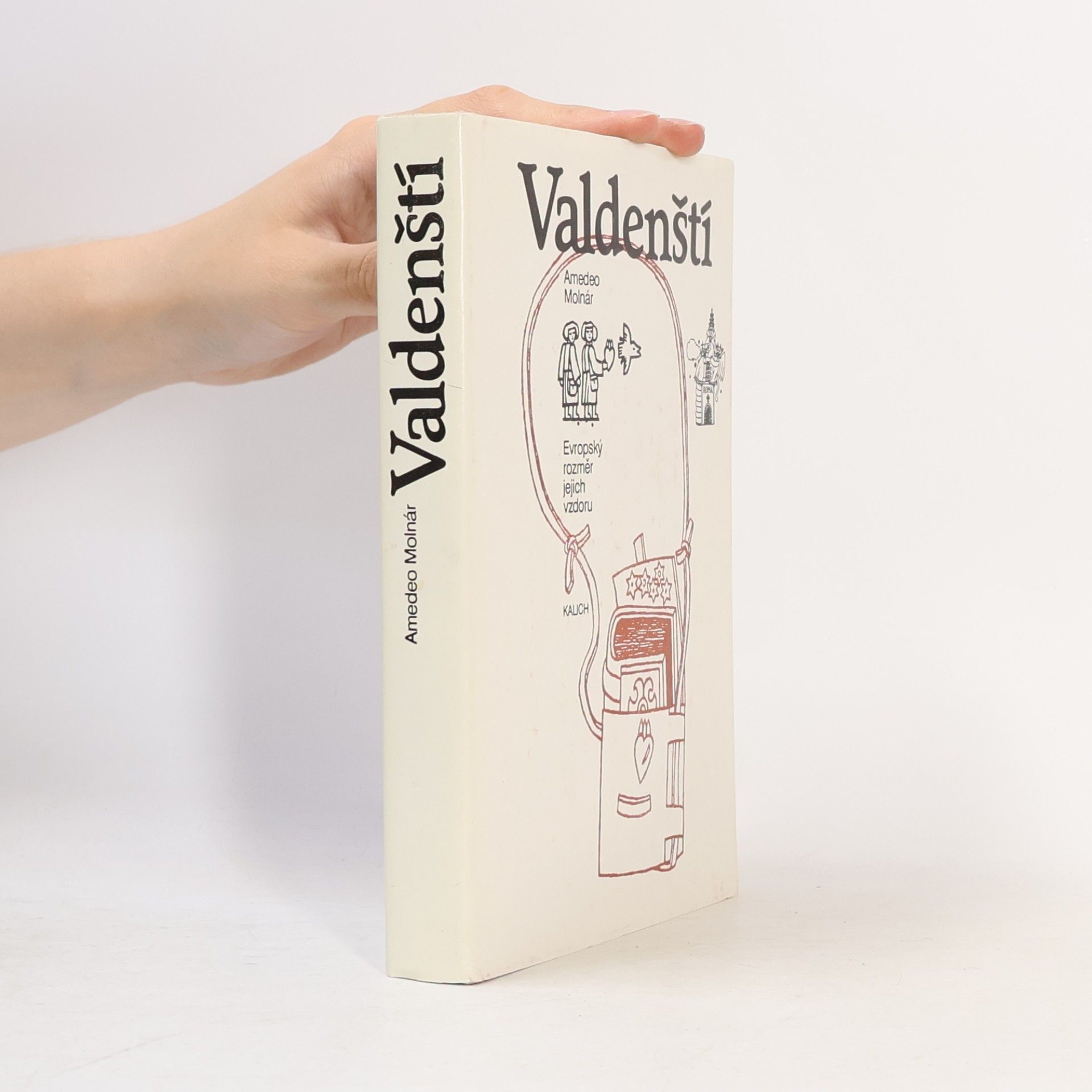 Amedeo Molnár Valdenští. Evropský rozměr jejich vzdoru