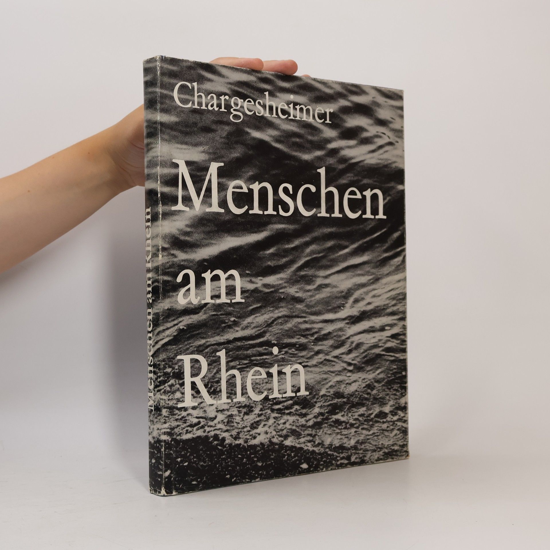 Chargeshimer Menschen Am Rhein