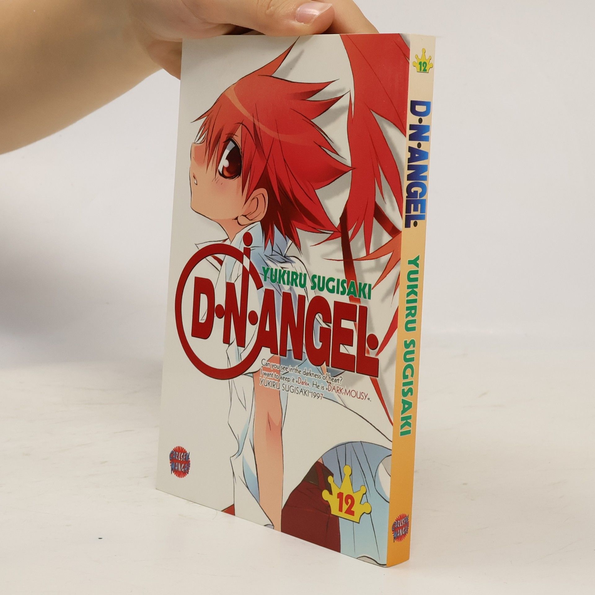 Yukiru Sugisaki D. N. Angel 12