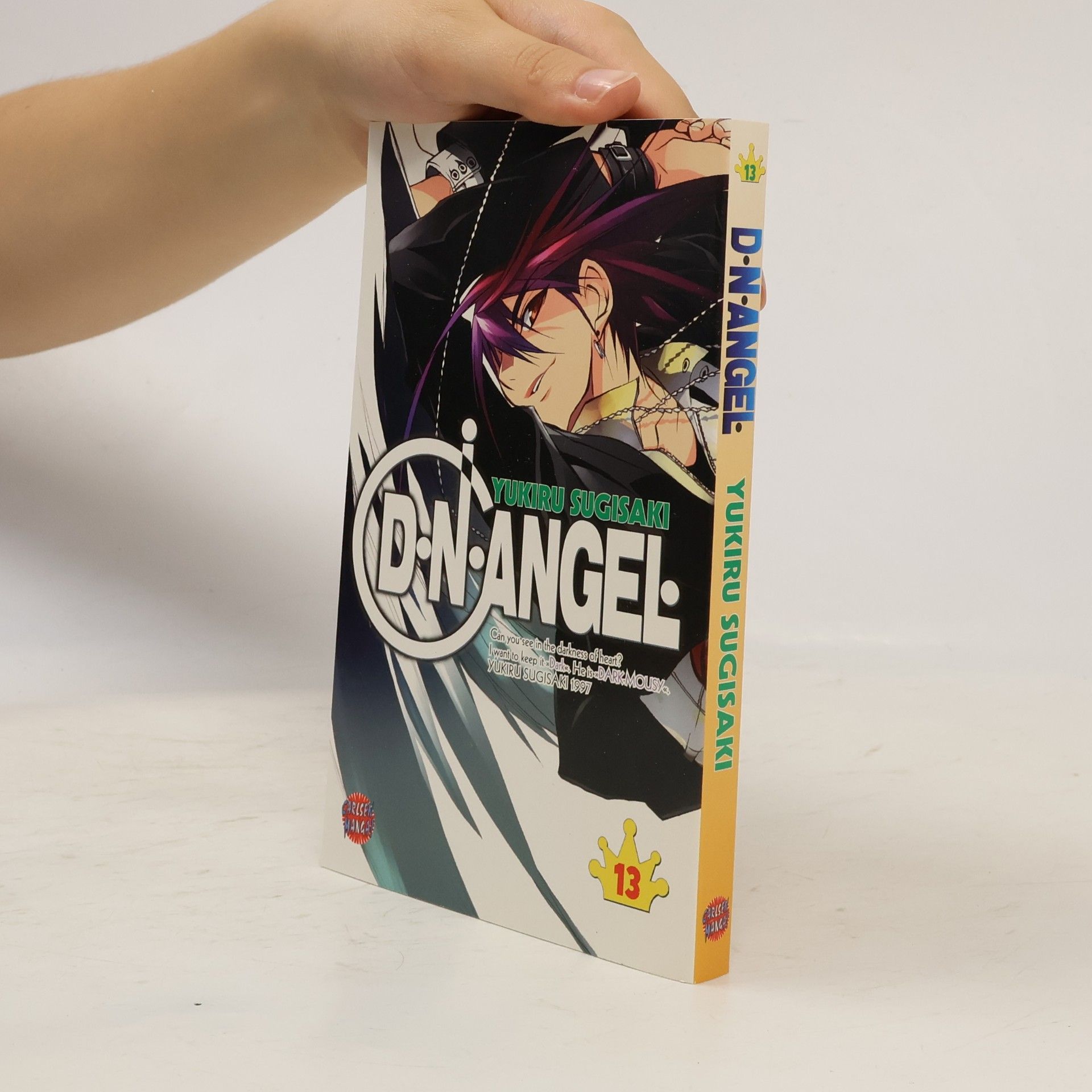 Yukiru Sugisaki D. N. Angel 13
