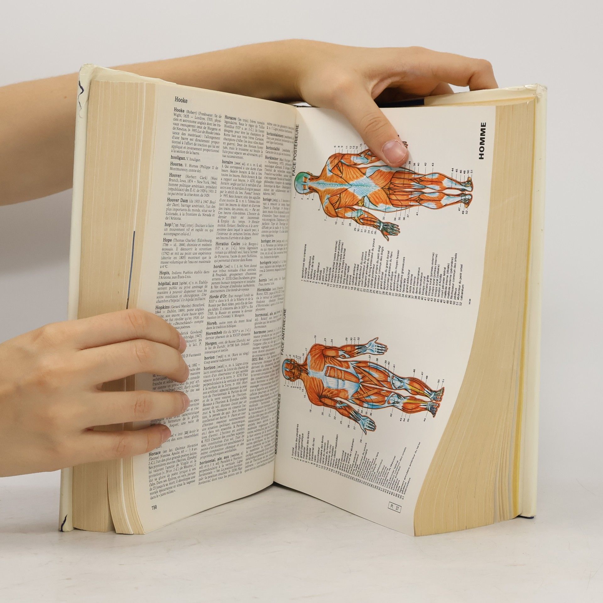Le Dictionnaire de notre temps