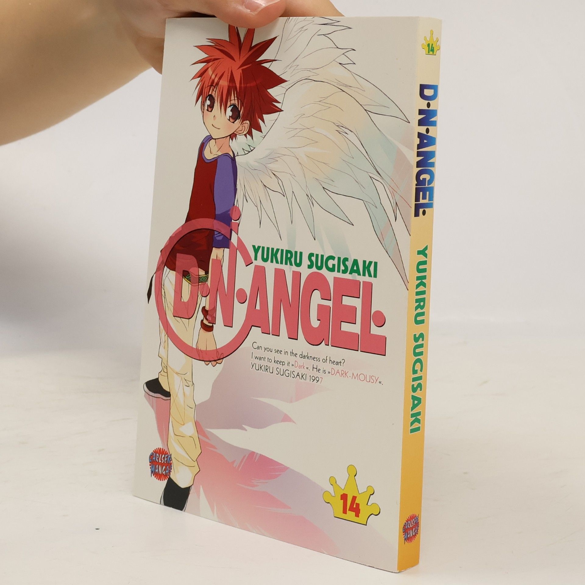 Yukiru Sugisaki D. N. Angel 14