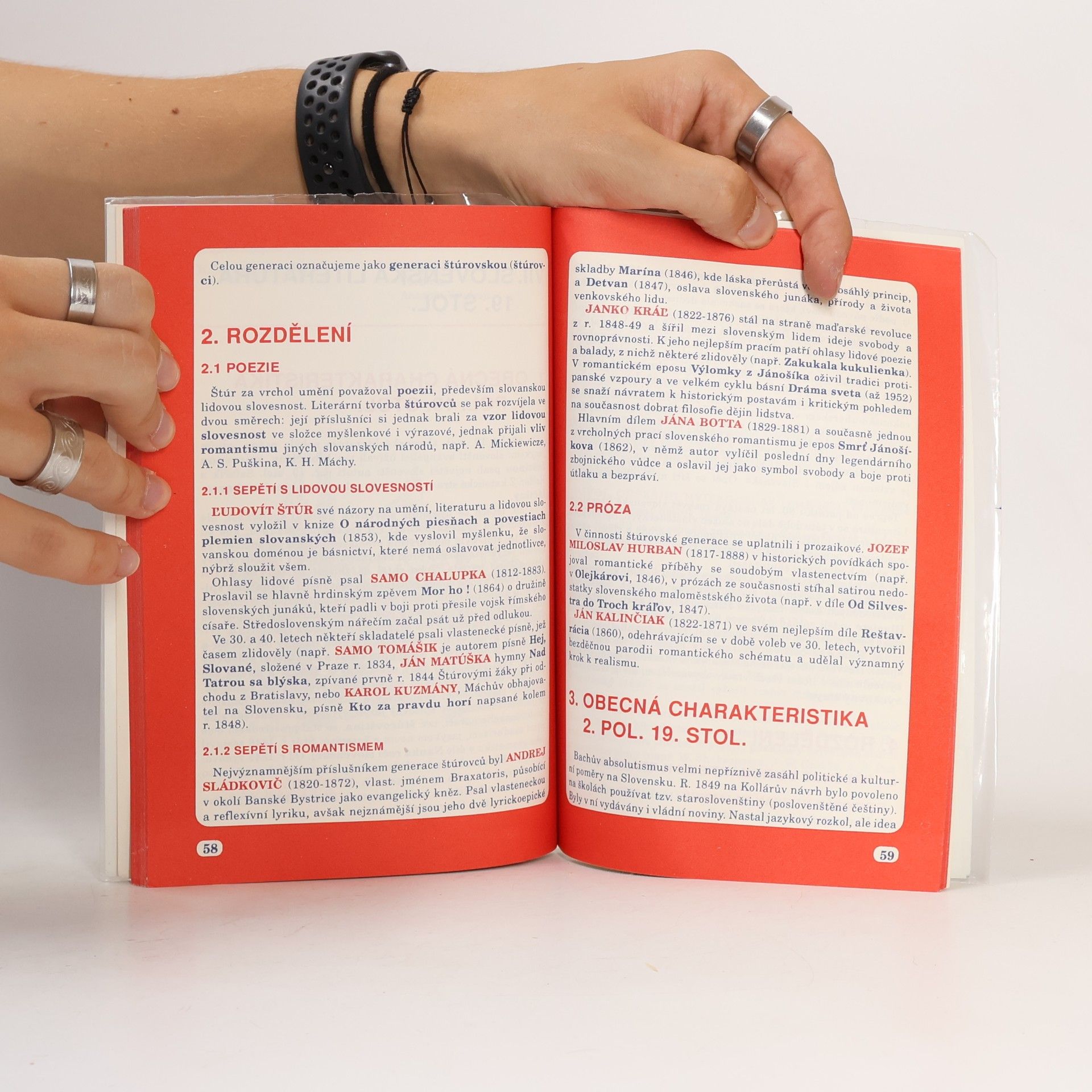Jitka Černíková Dějiny literatury 2