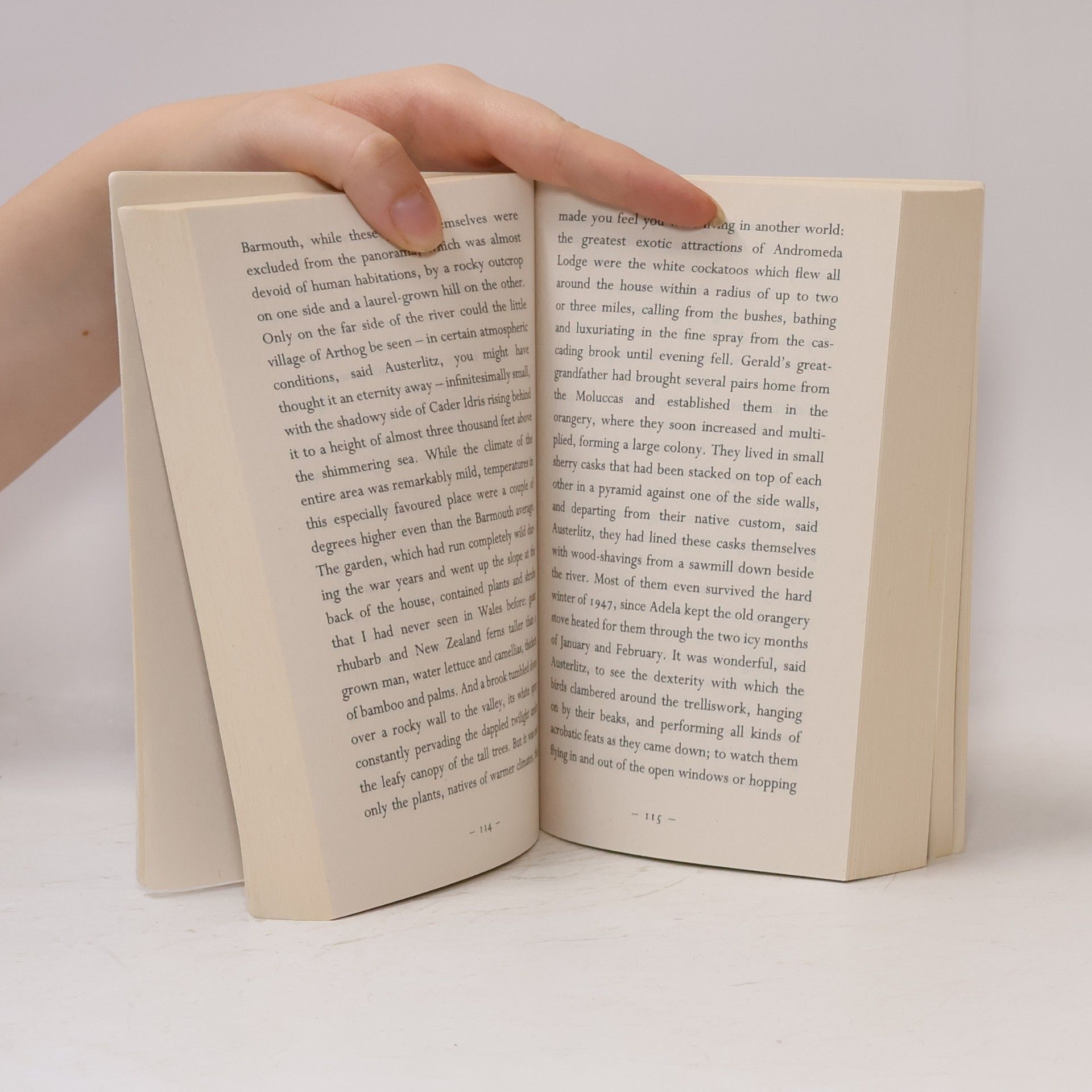 W. G. Sebald Austerlitz
