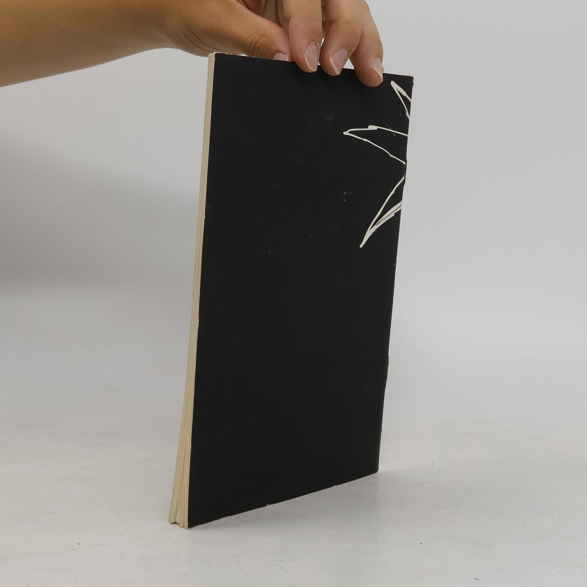 Jiří Grygar Velký třesk a Bible