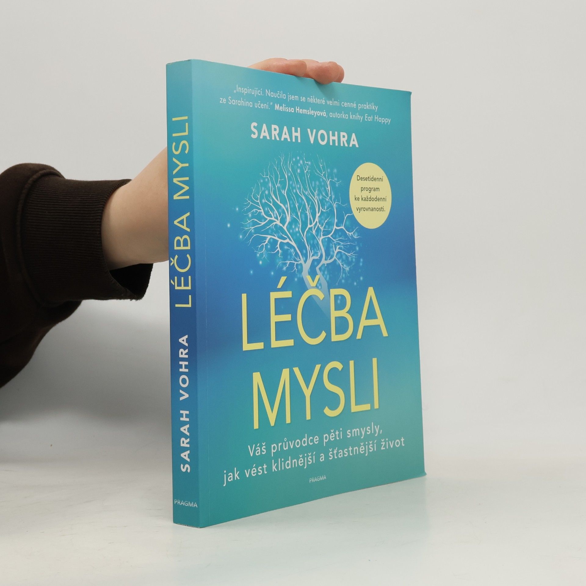Léčba mysli : Váš průvodce pěti smysly, jak vést klidnější a šťastnější život