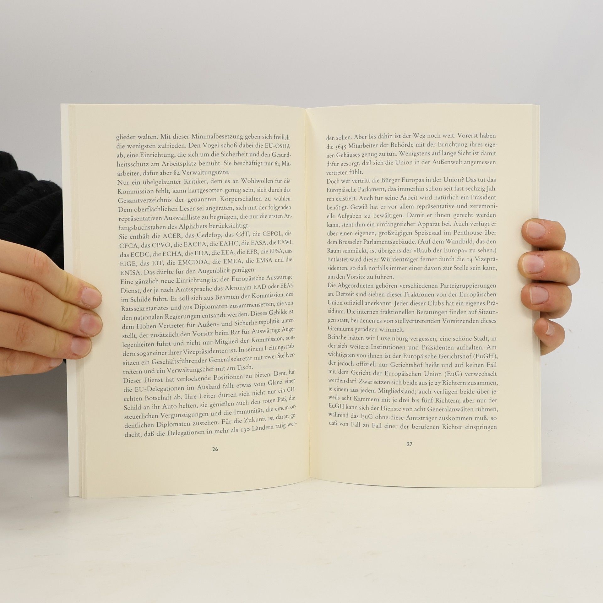 Hans Magnus Enzensberger Sanftes Monster Brüssel oder die Entmündigung Europas