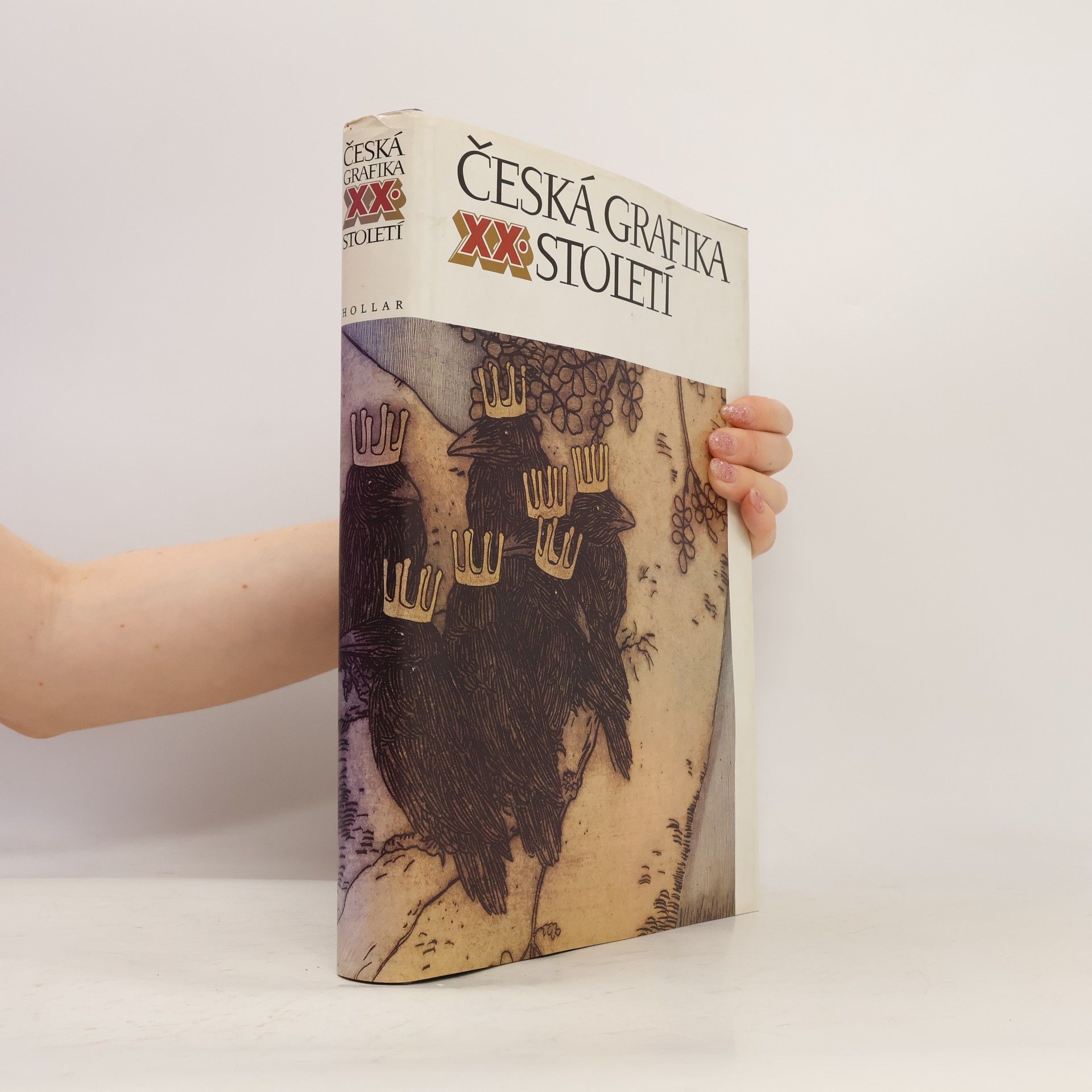 Autorenkollektiv Česká grafika XX. století
