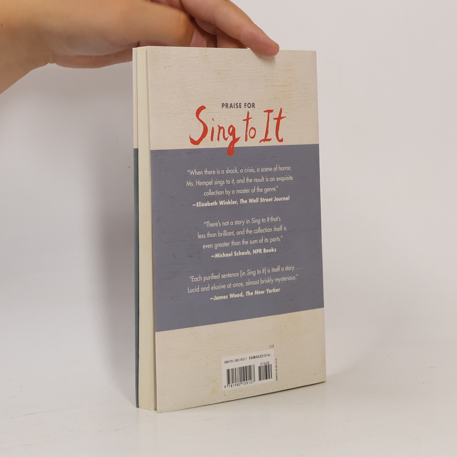 Amy Hempel Sing to It
