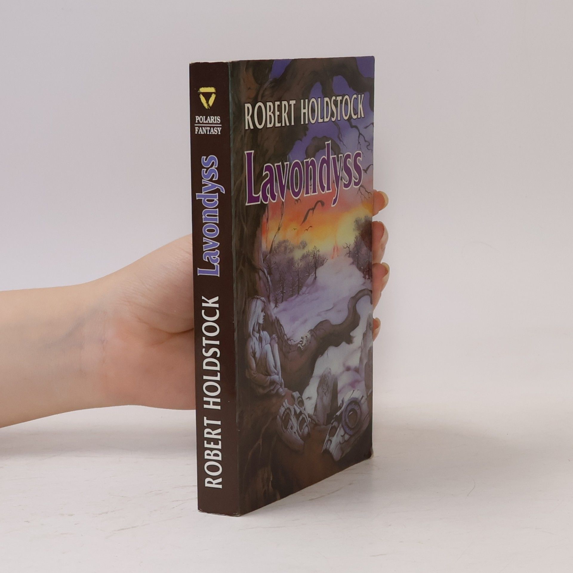 Robert Holdstock Lavondyss : cesta do neznámé země