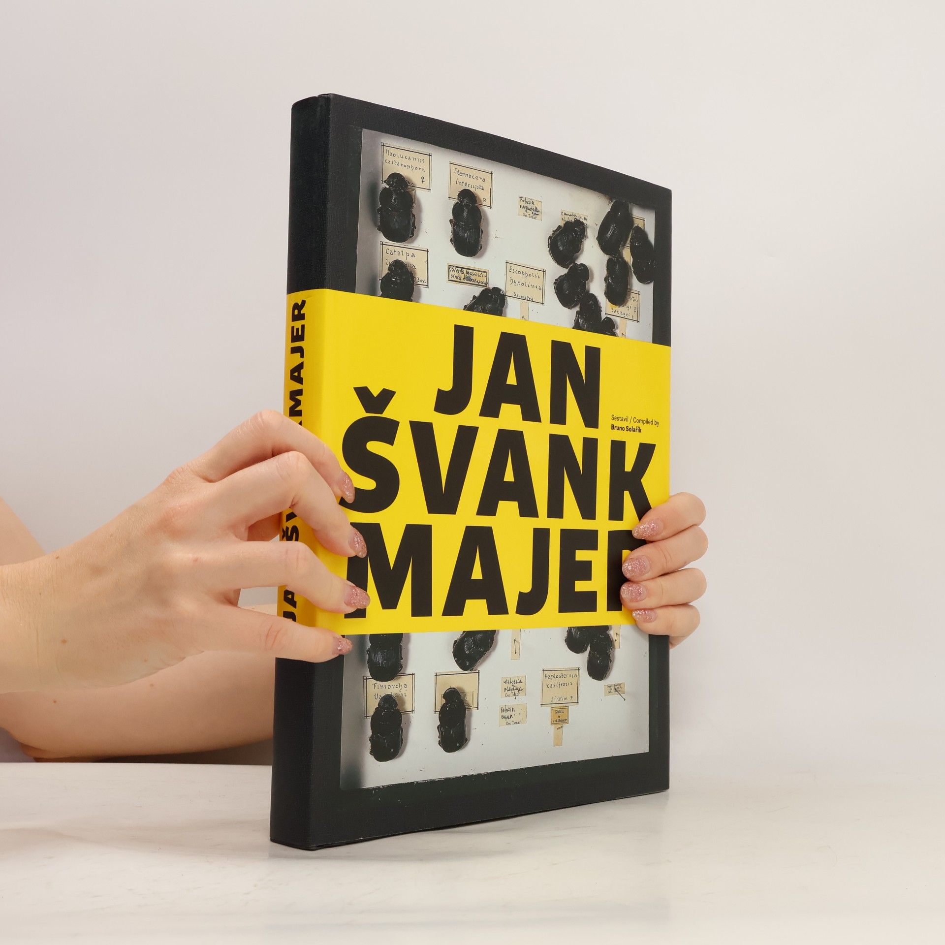 Bruno Solařík Jan Švankmajer