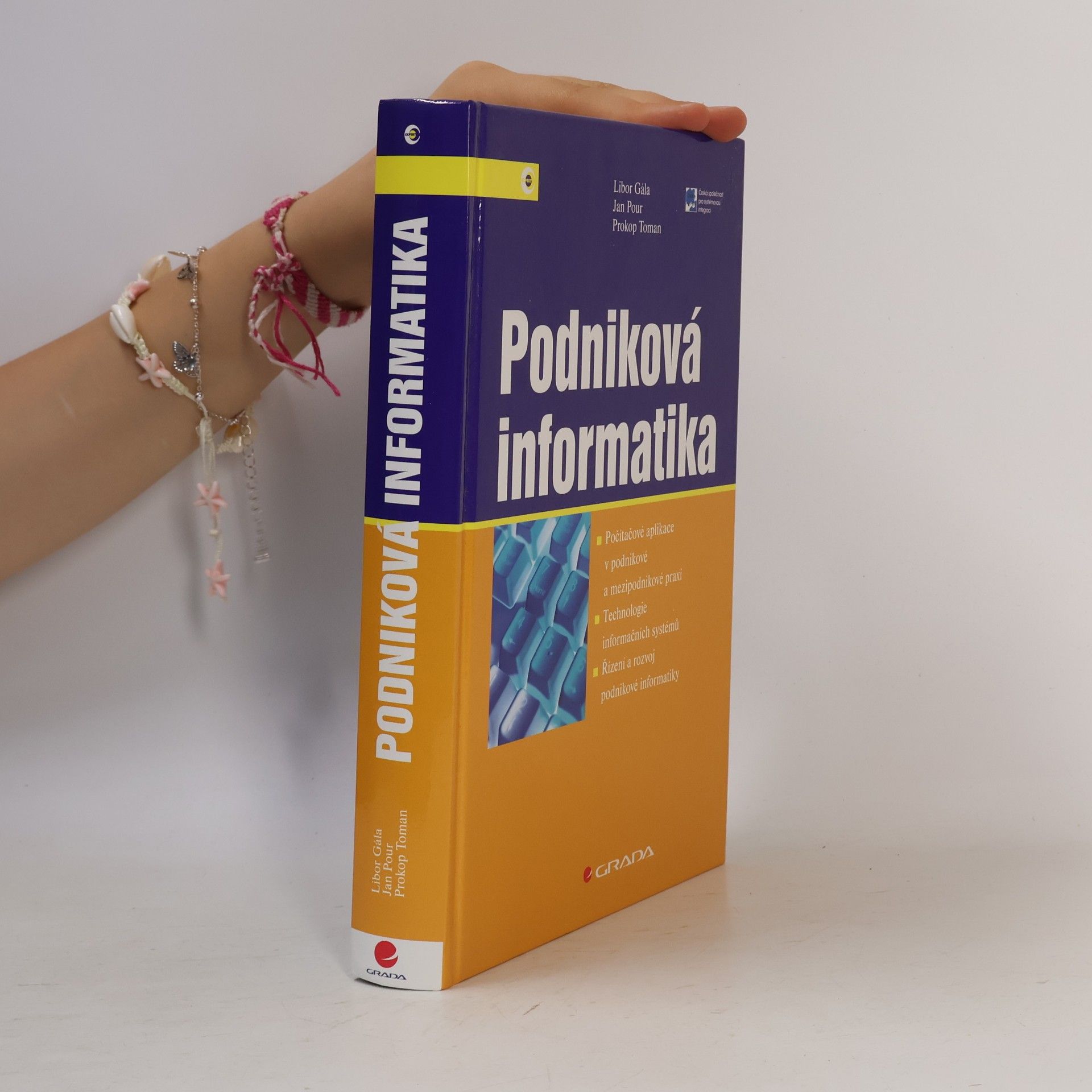 Podniková informatika