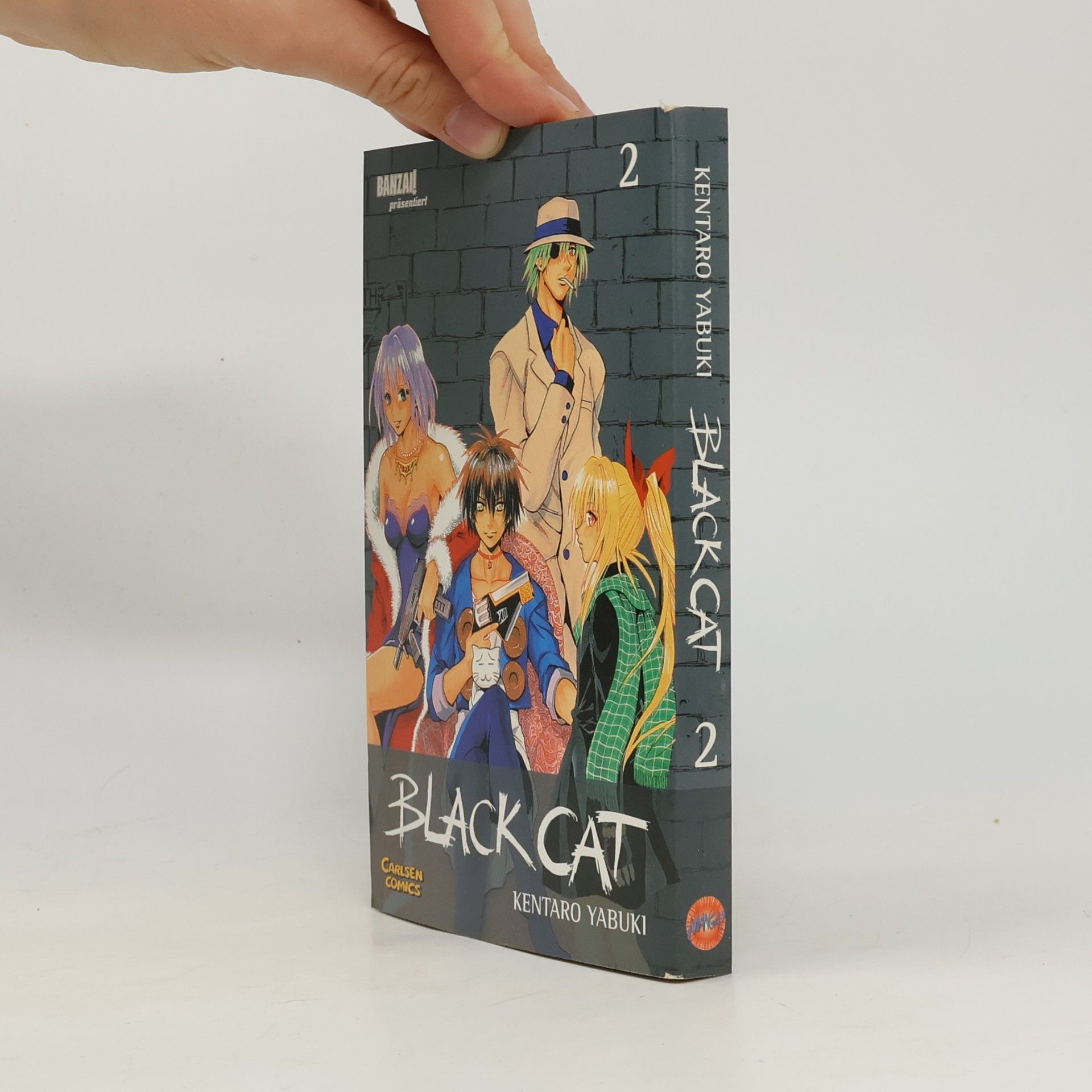 Kentarō Yabuki Black Cat 2