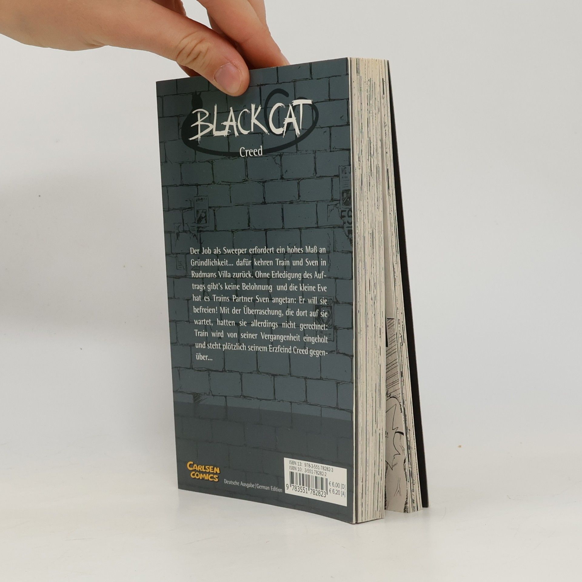 Kentaro Yabuki Black Cat 2