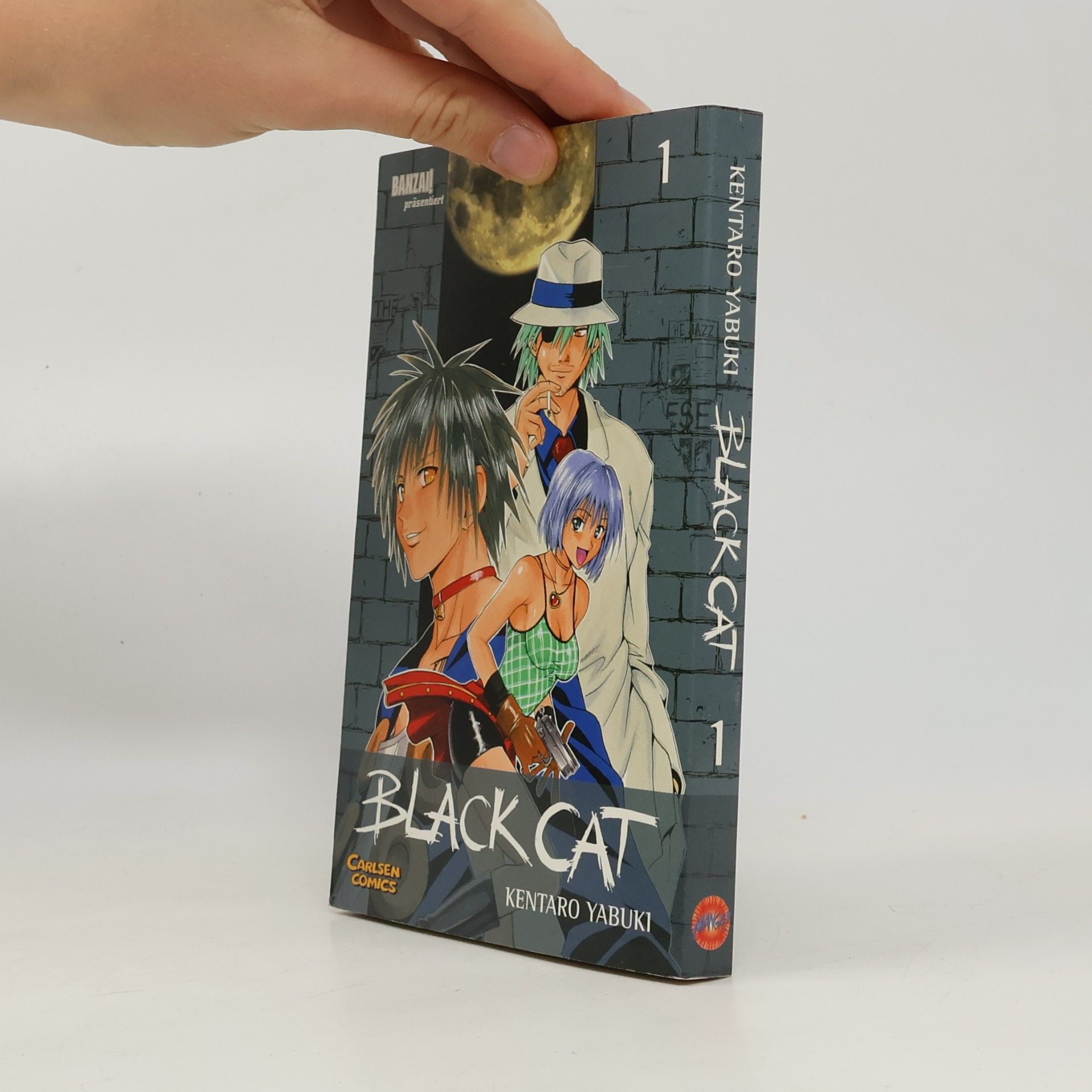 Kentarō Yabuki Black Cat