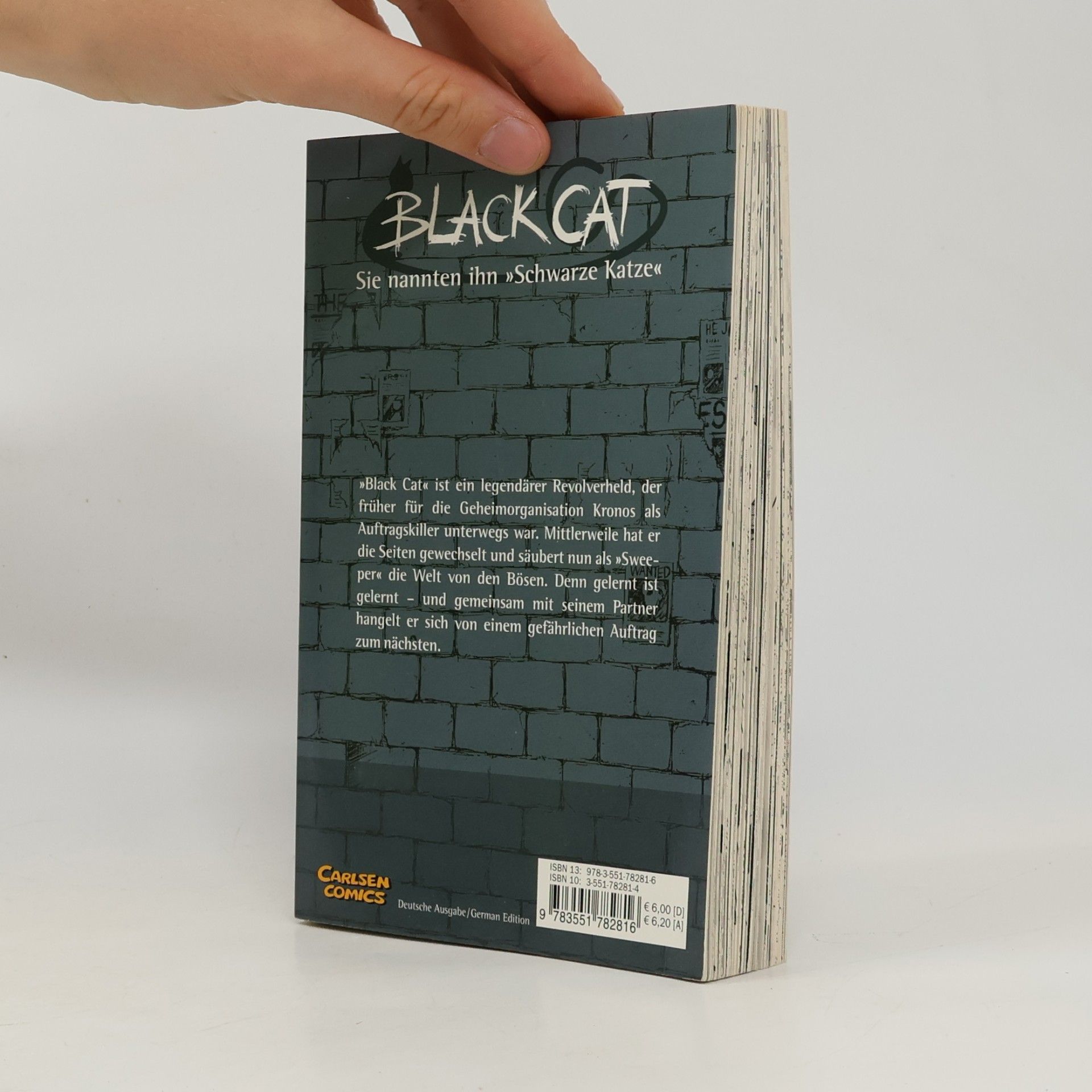 Kentaro Yabuki Black Cat