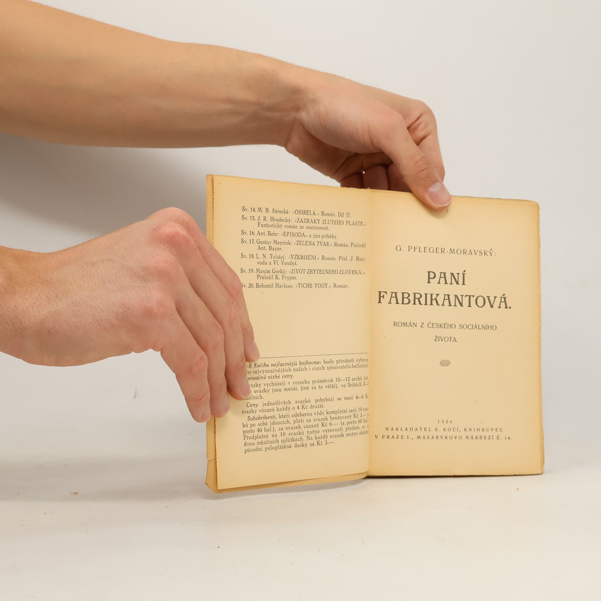 Gustav Pfleger Moravský Paní fabrikantová