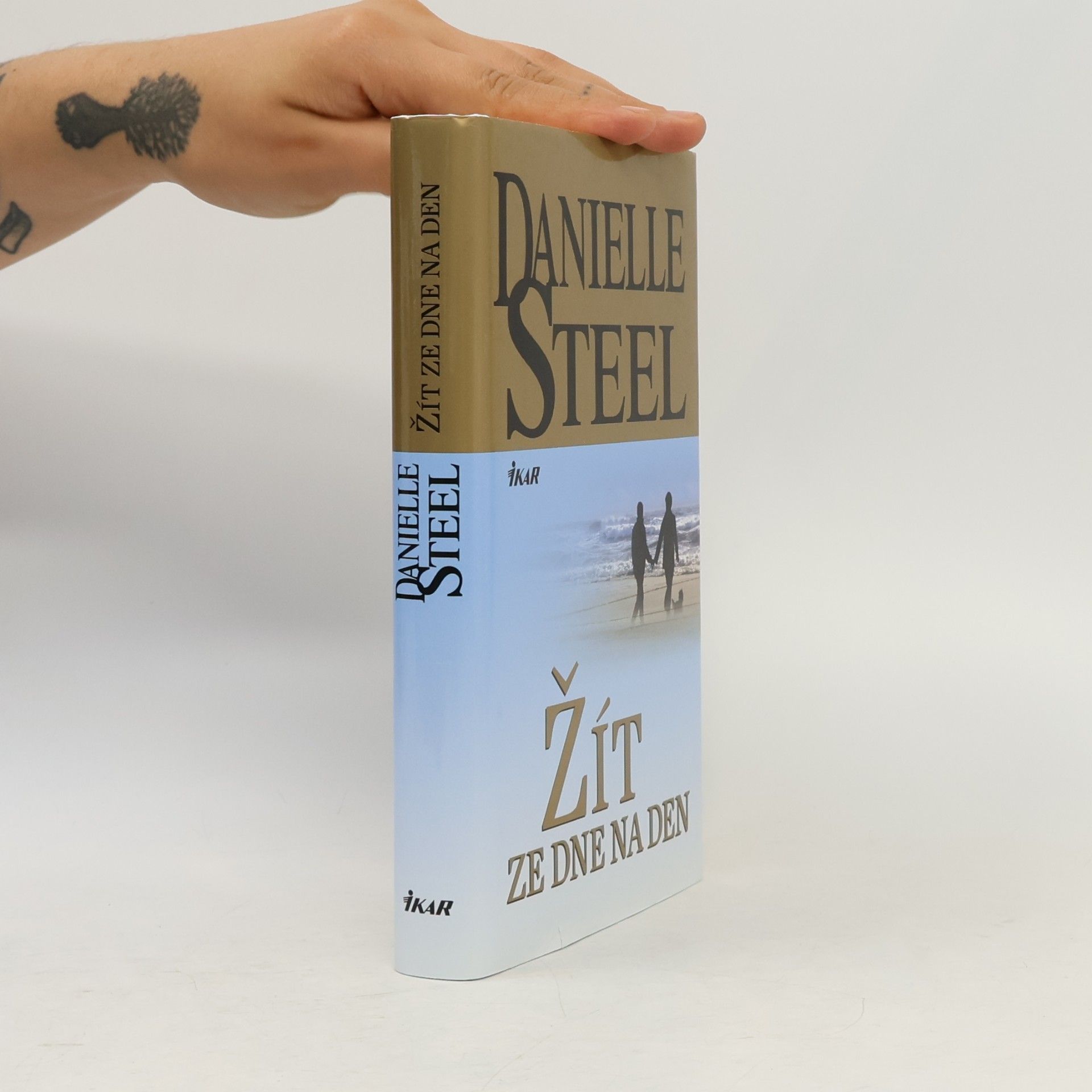 Danielle Steel Žít ze dne na den