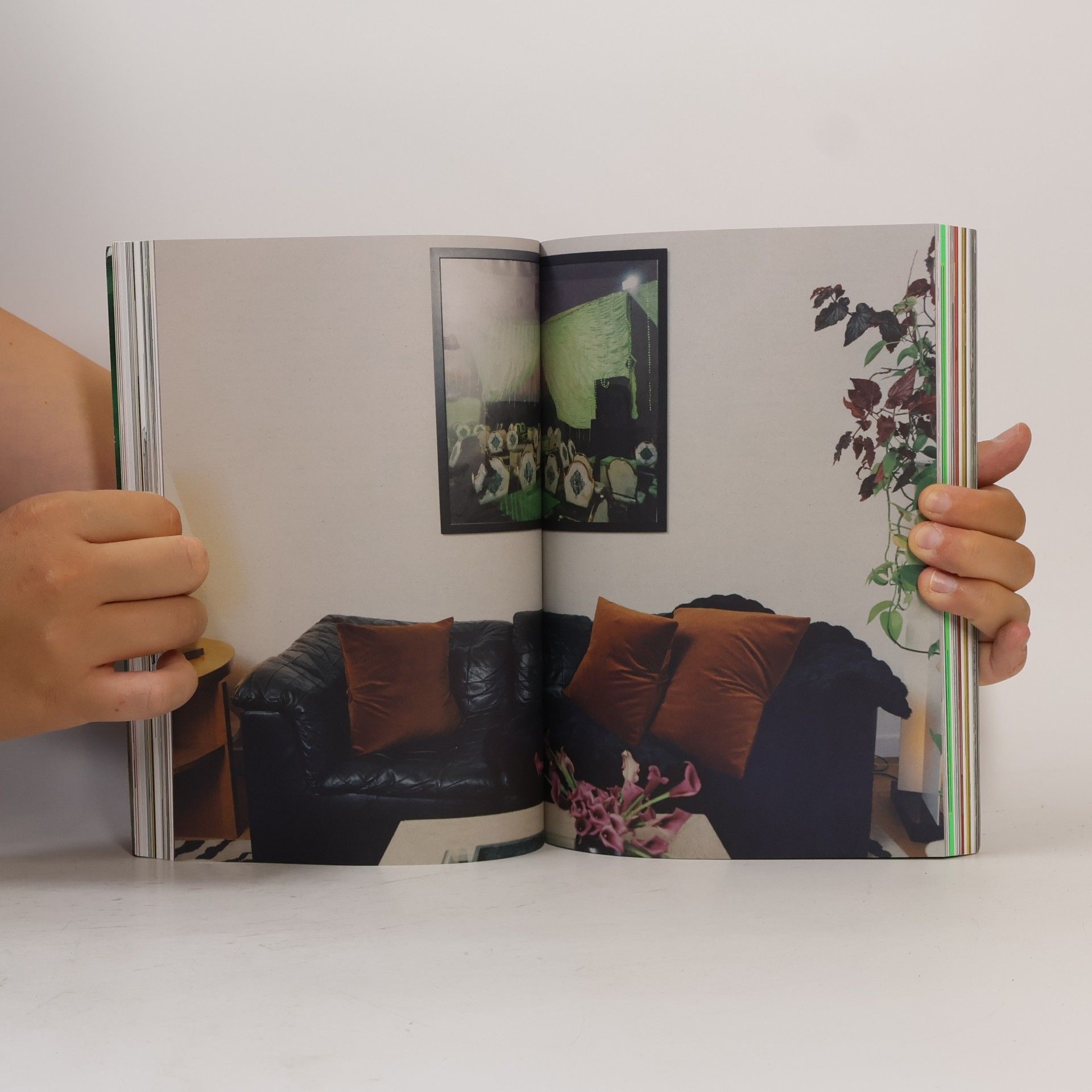 kolektiv Apartamento 35