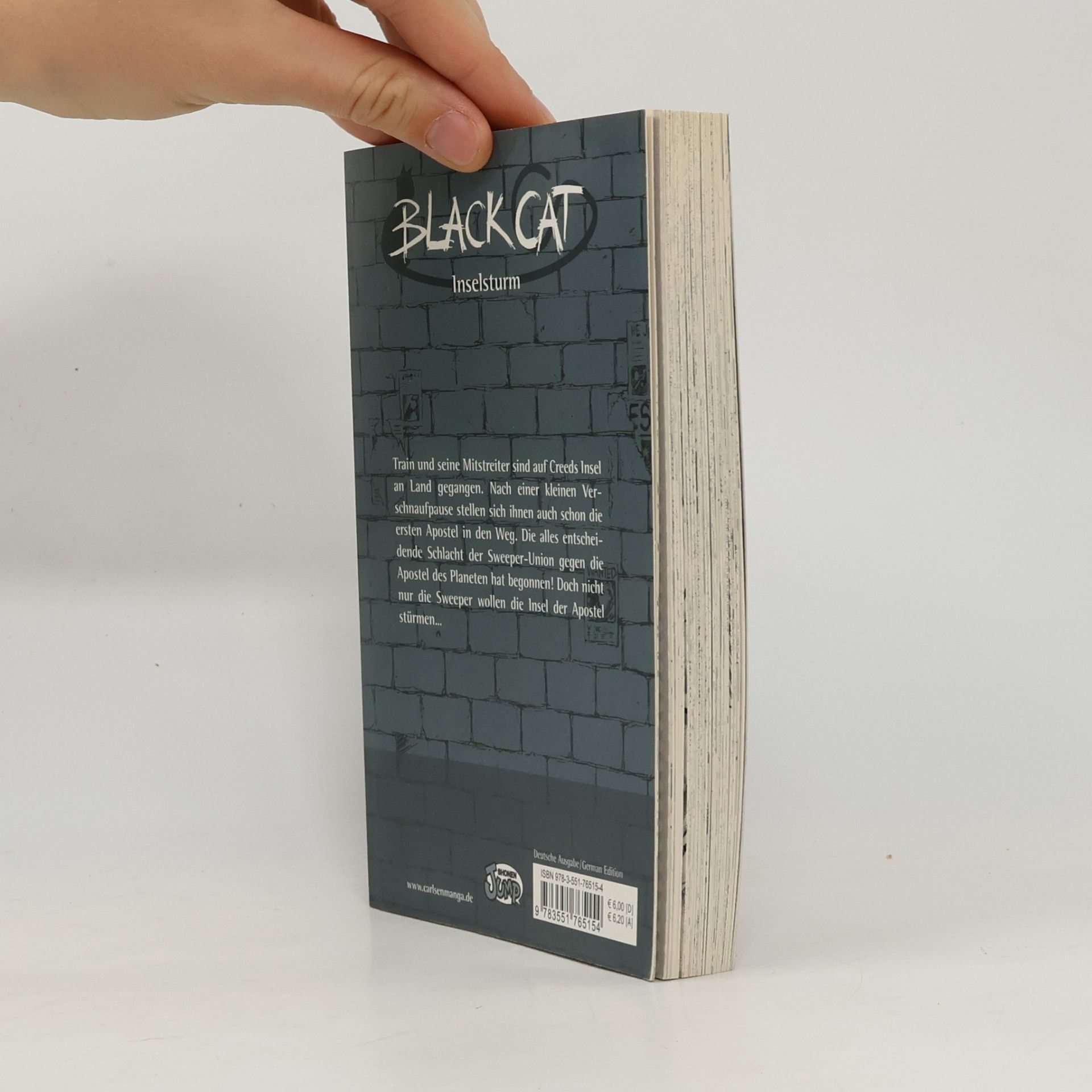 Kentaro Yabuki Black Cat 15