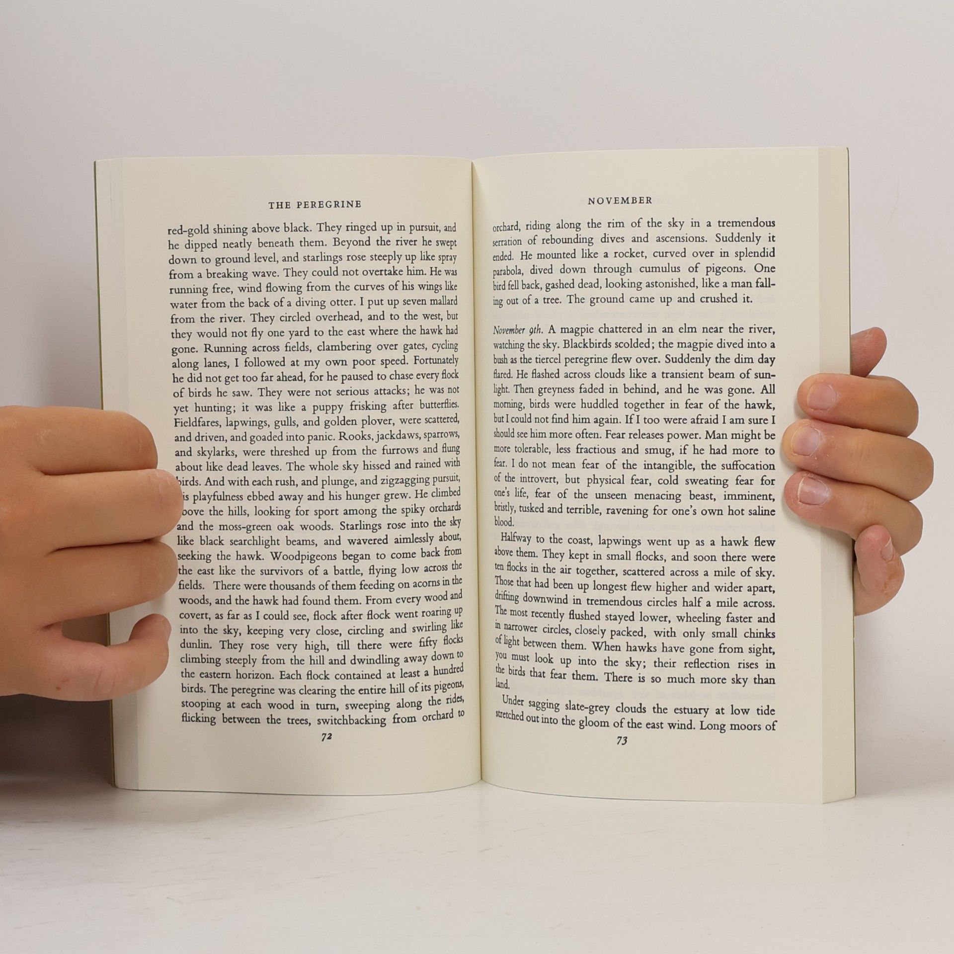 J. A. Baker New York Review Books Classics: The Peregrine