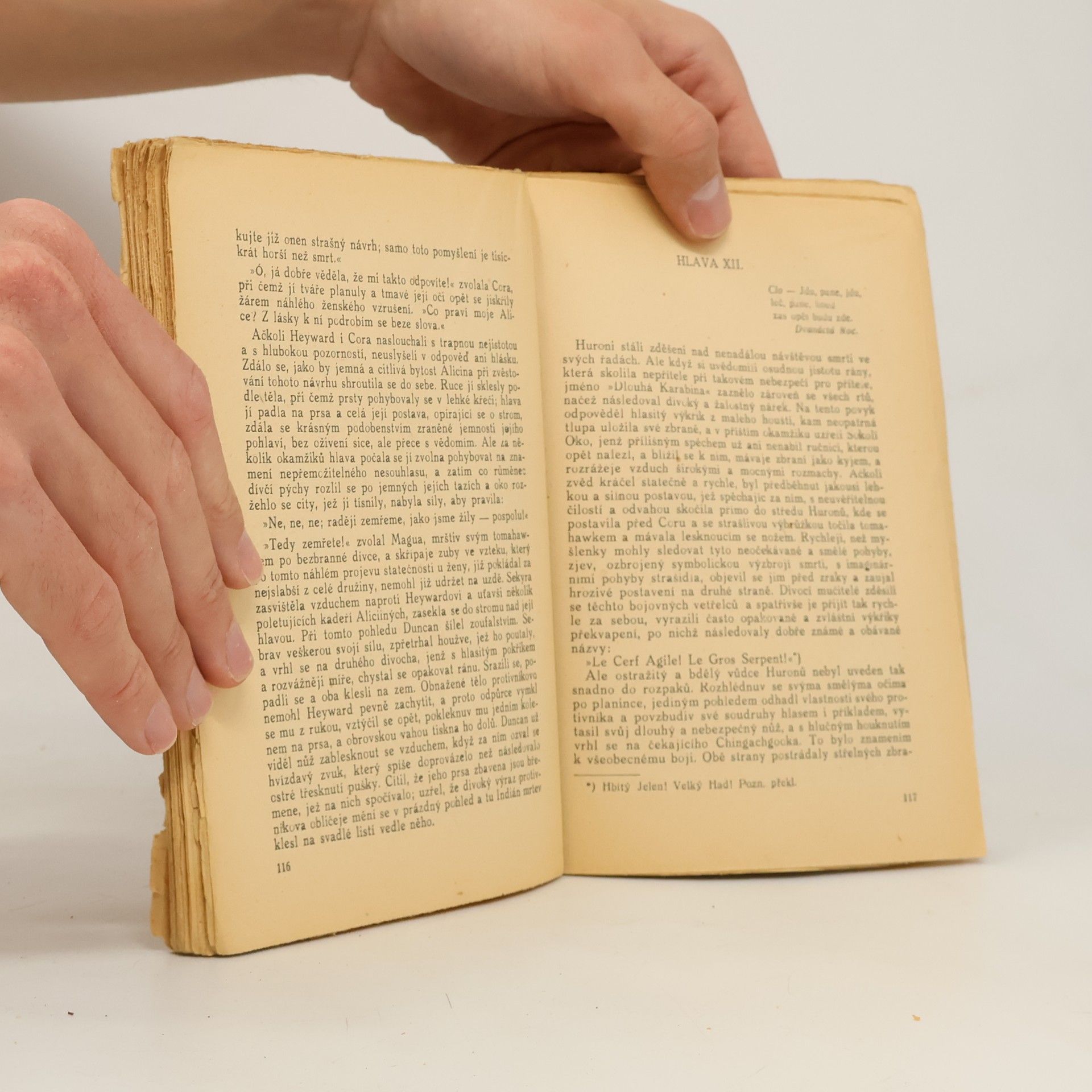 J. Fenimore Cooper Poslední Mohykán