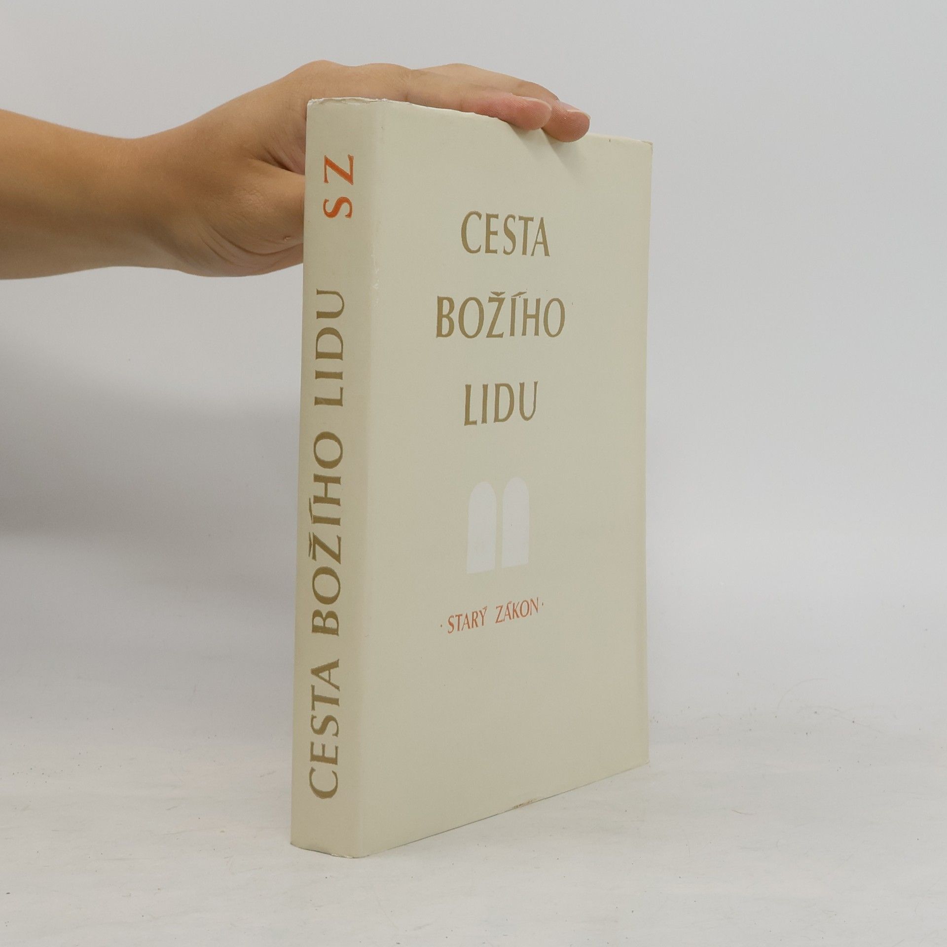 Marta Kocnová Cesta Božího lidu. Starý zákon