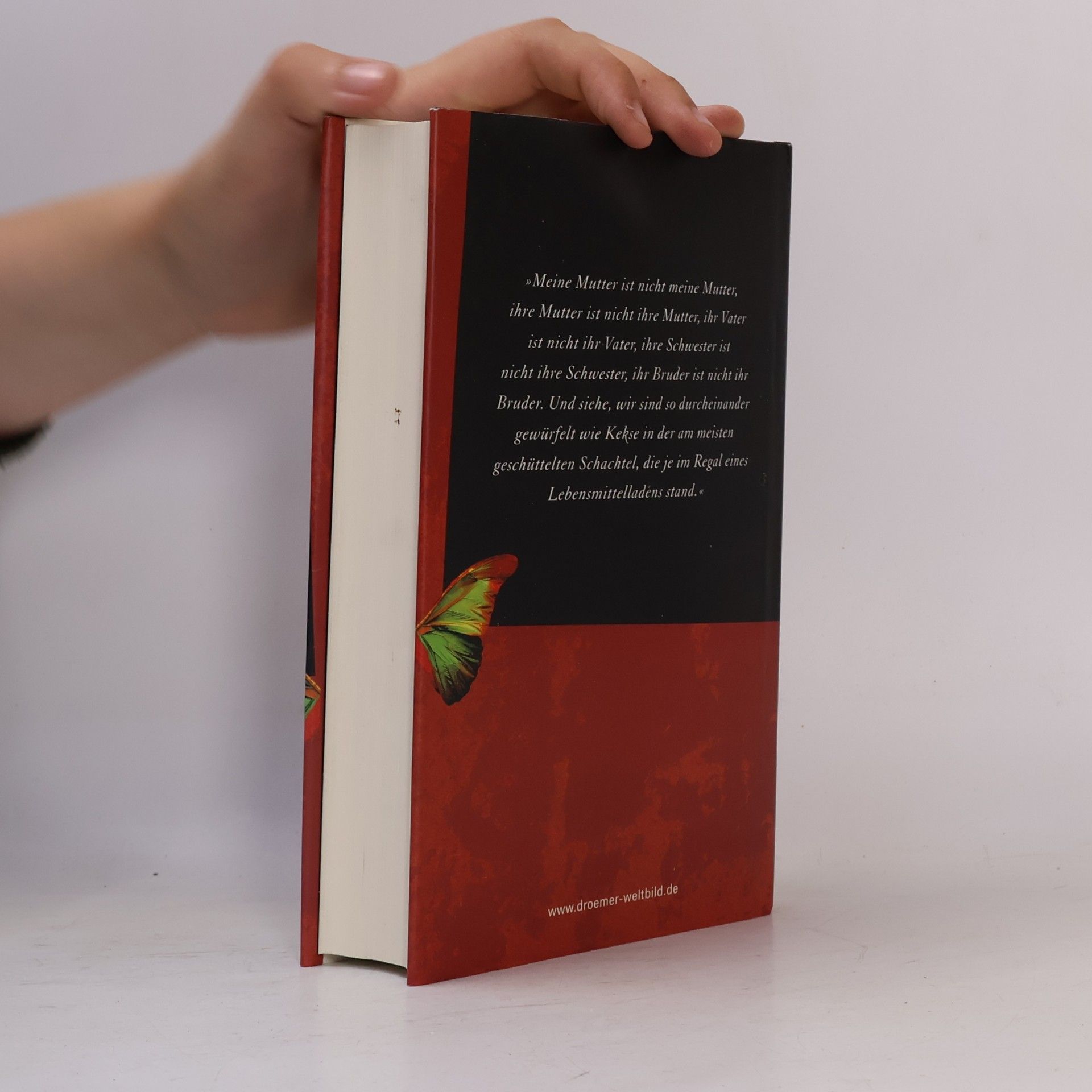 Kate Atkinson Die Ebene der schrägen Gefühle