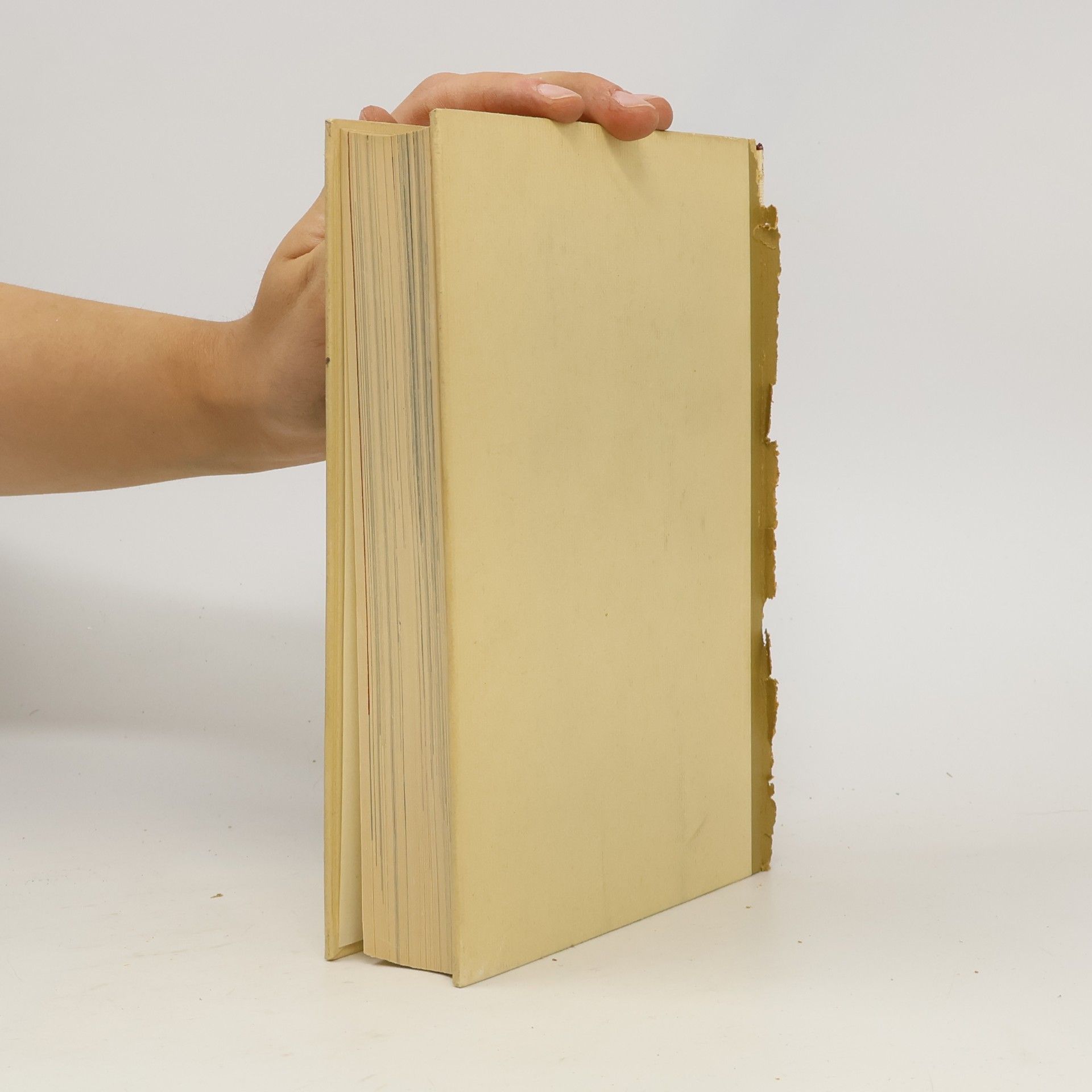 Sethon Lloyd Die Kunst des Alten Orients